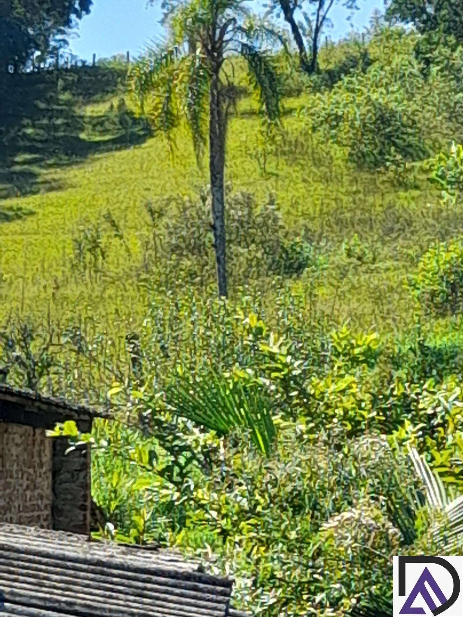 Fazenda à venda com 3 quartos, 100m² - Foto 6