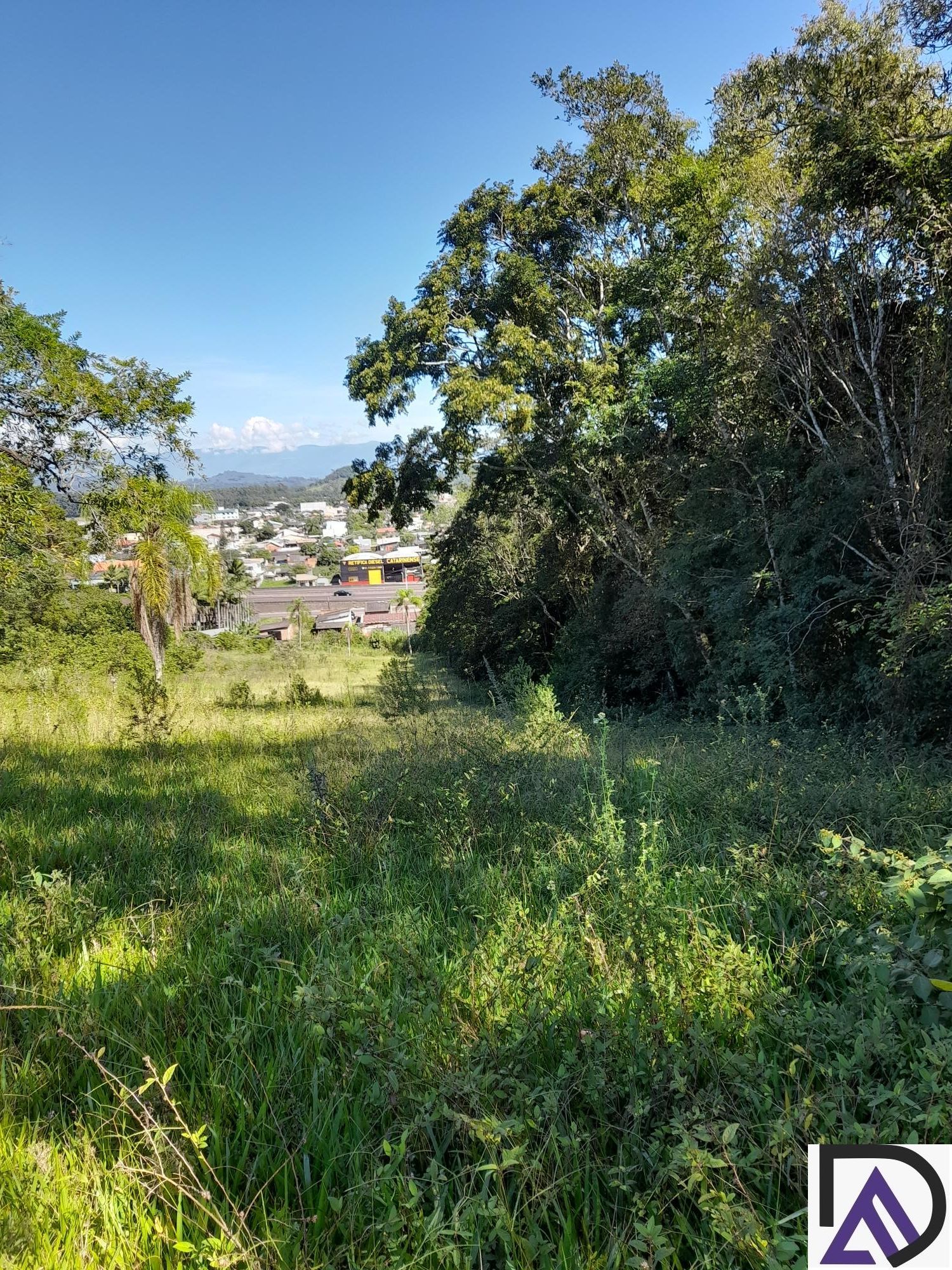 Fazenda à venda com 3 quartos, 100m² - Foto 8