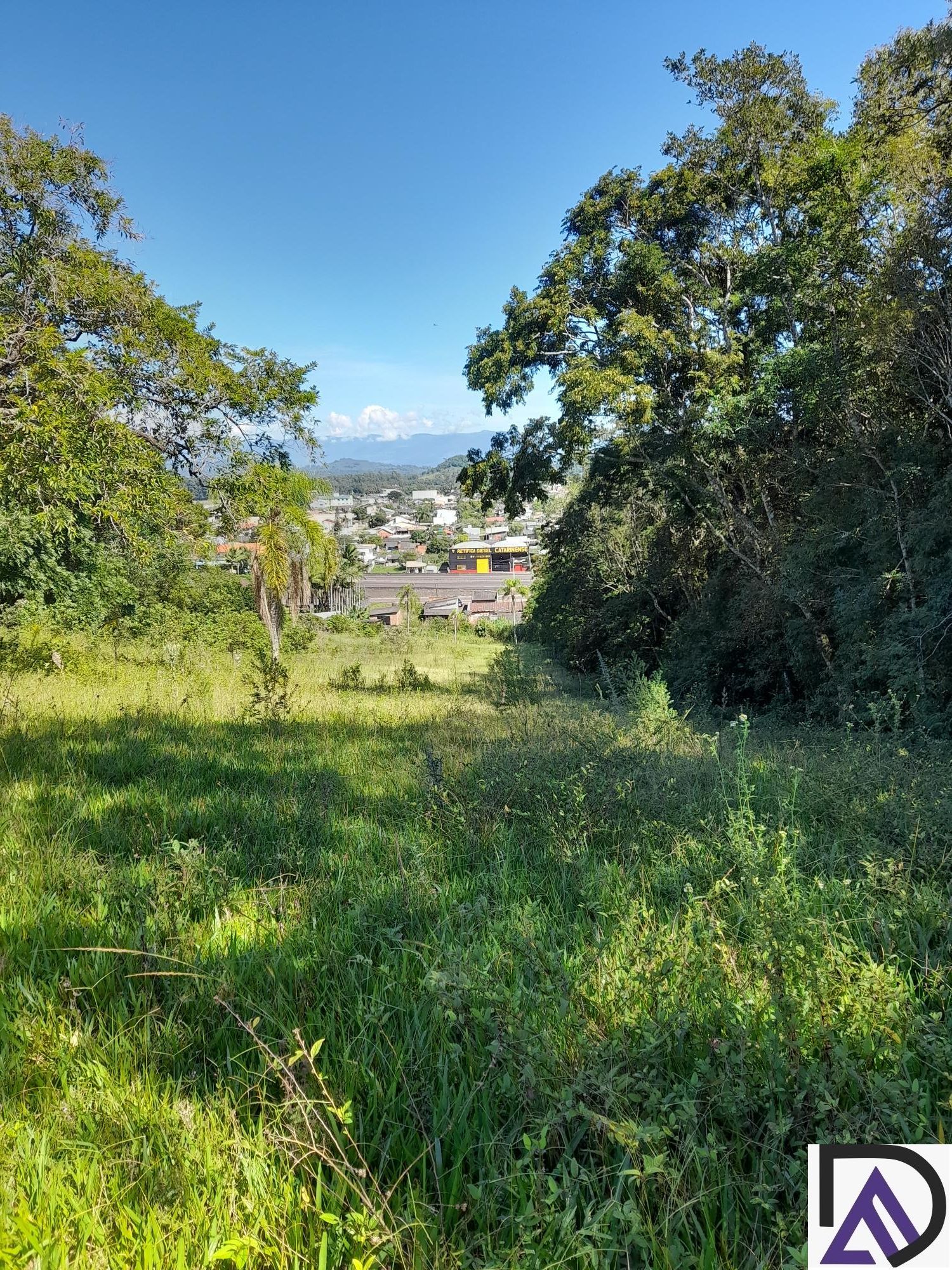 Fazenda à venda com 3 quartos, 100m² - Foto 7