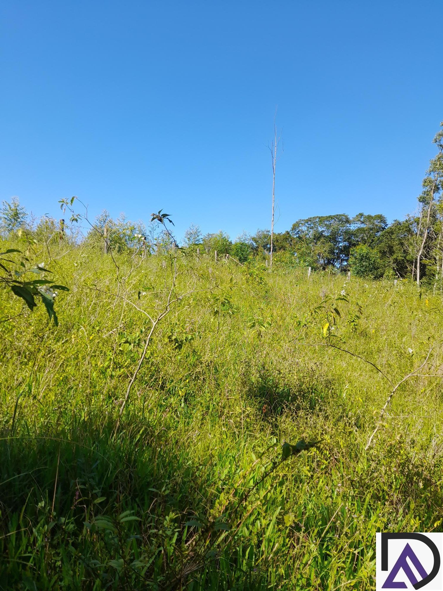 Fazenda à venda com 3 quartos, 100m² - Foto 12