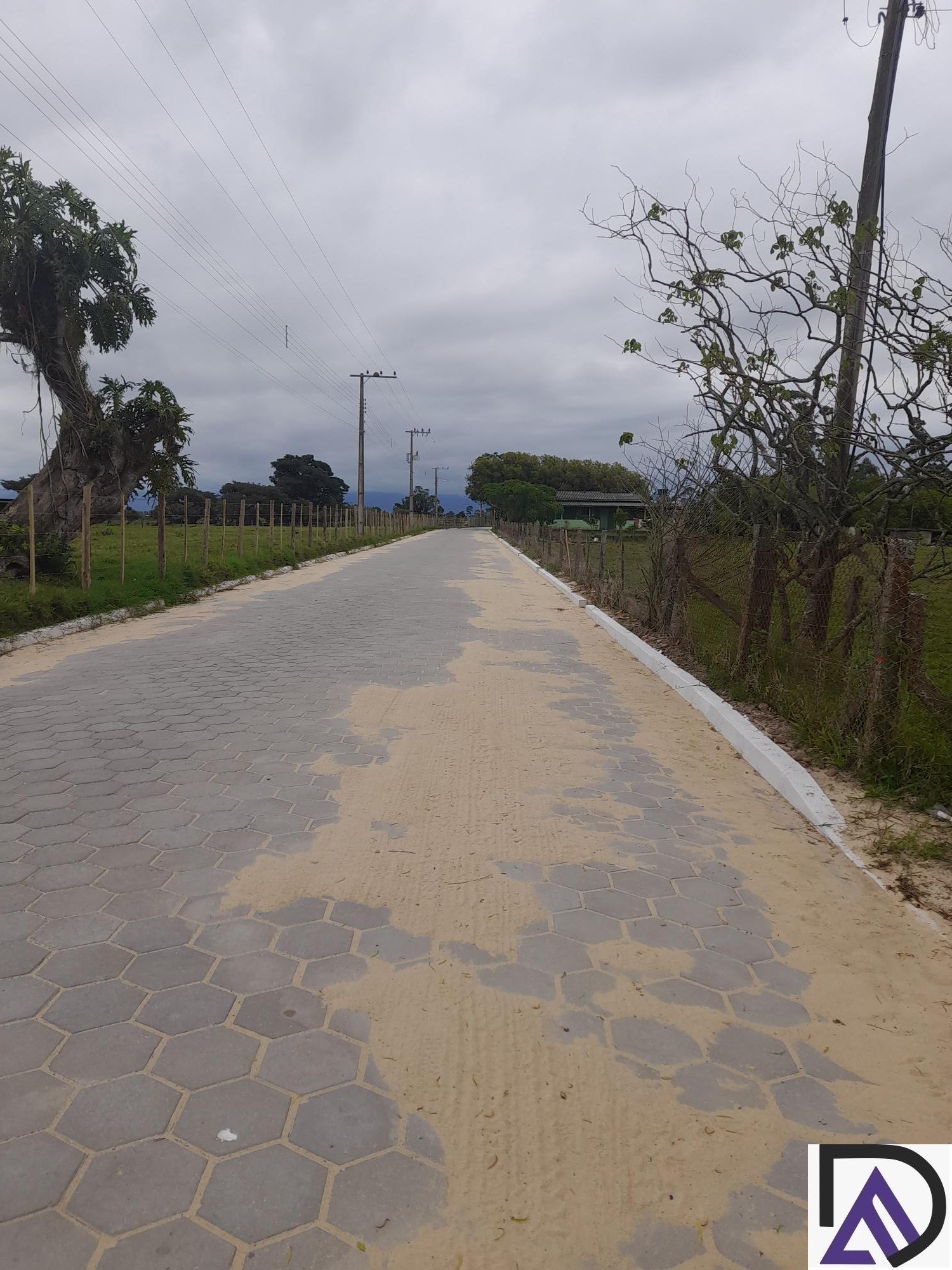 Chácara, 3 quartos, 4620 m² - Foto 4