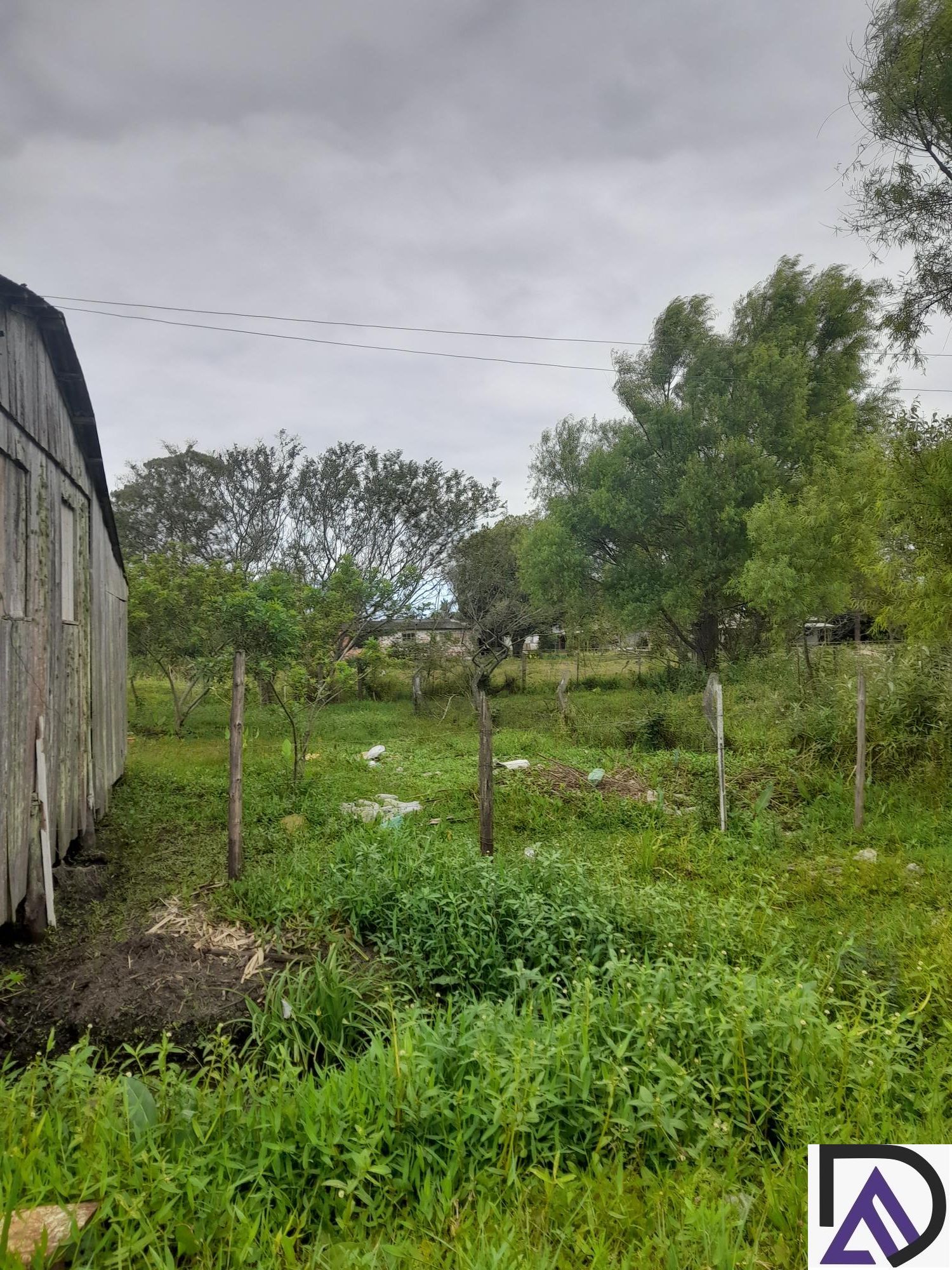 Fazenda à venda com 3 quartos, 249m² - Foto 23