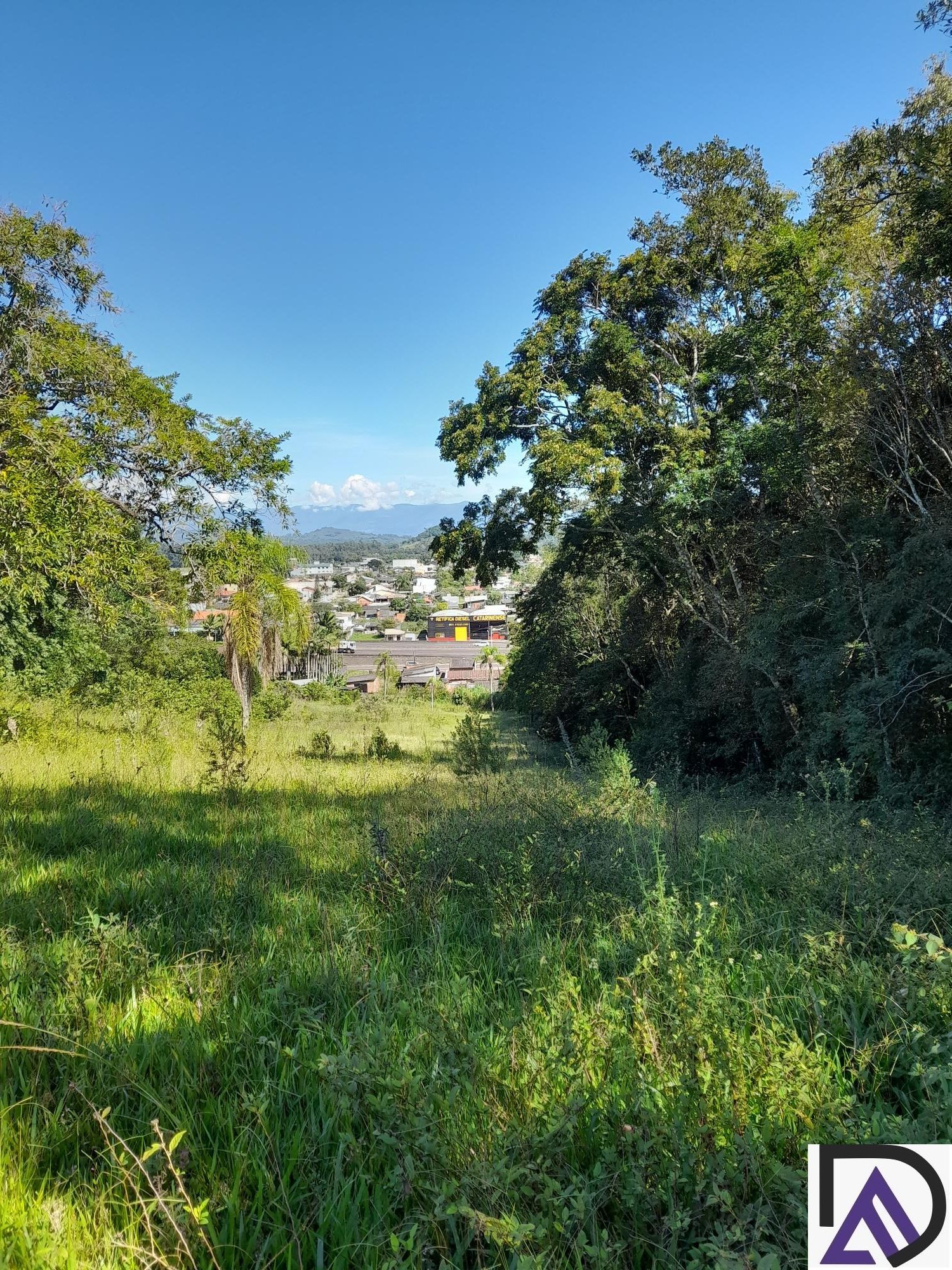 Fazenda à venda com 3 quartos, 100m² - Foto 17