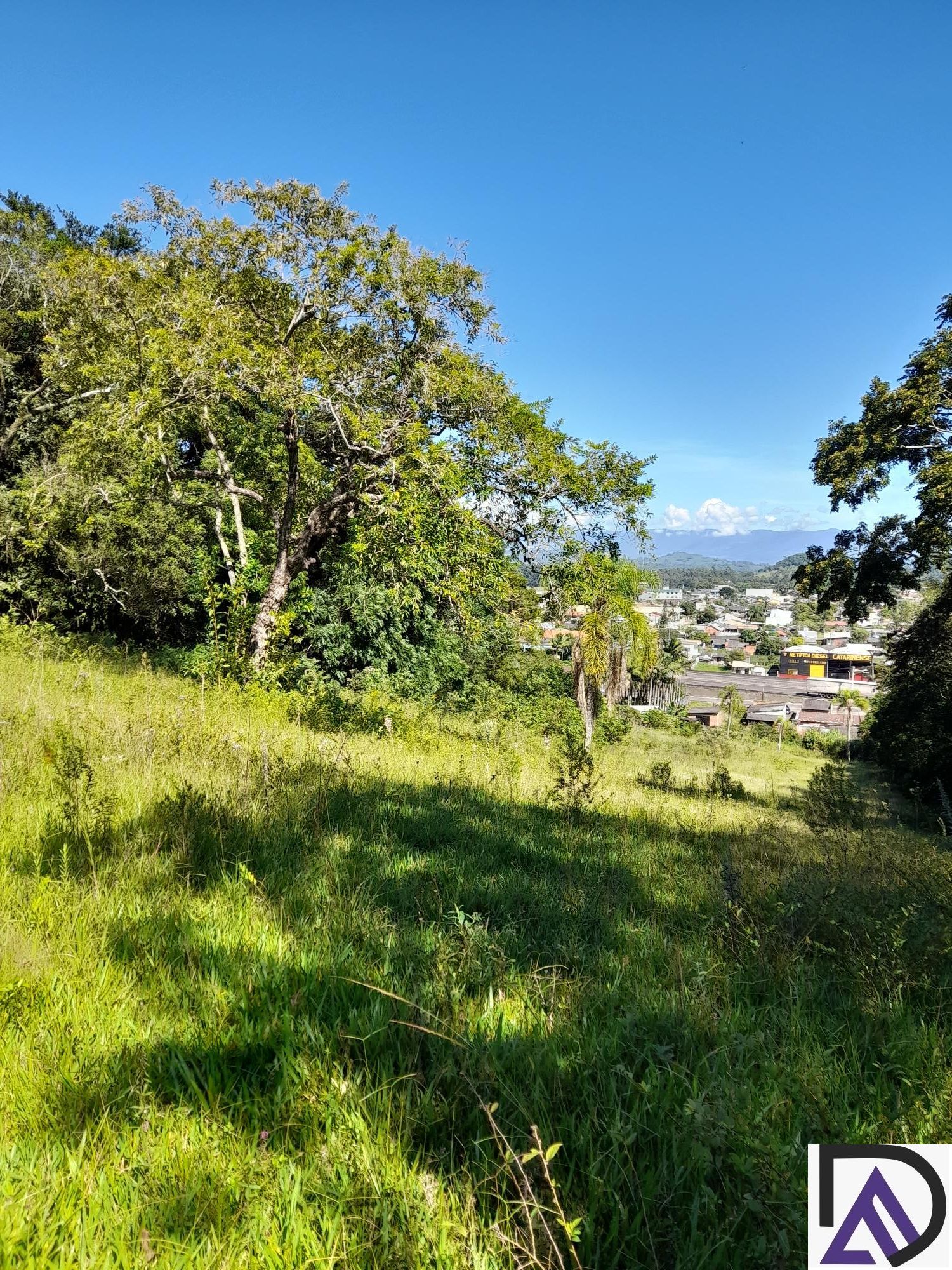 Fazenda à venda com 3 quartos, 100m² - Foto 16