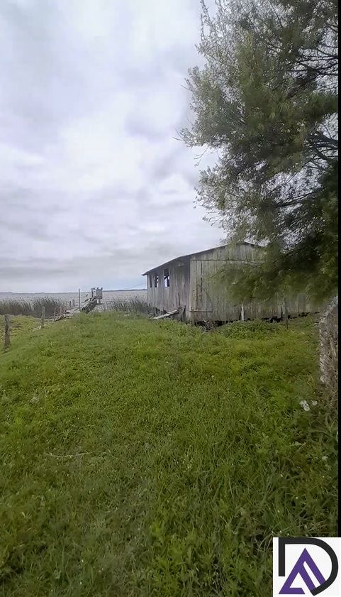 Chácara, 3 quartos, 4620 m² - Foto 28