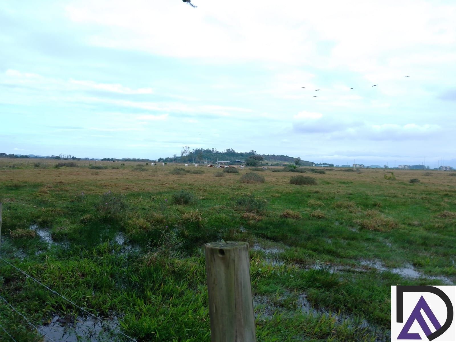 Terreno, 12 hectares - Foto 7