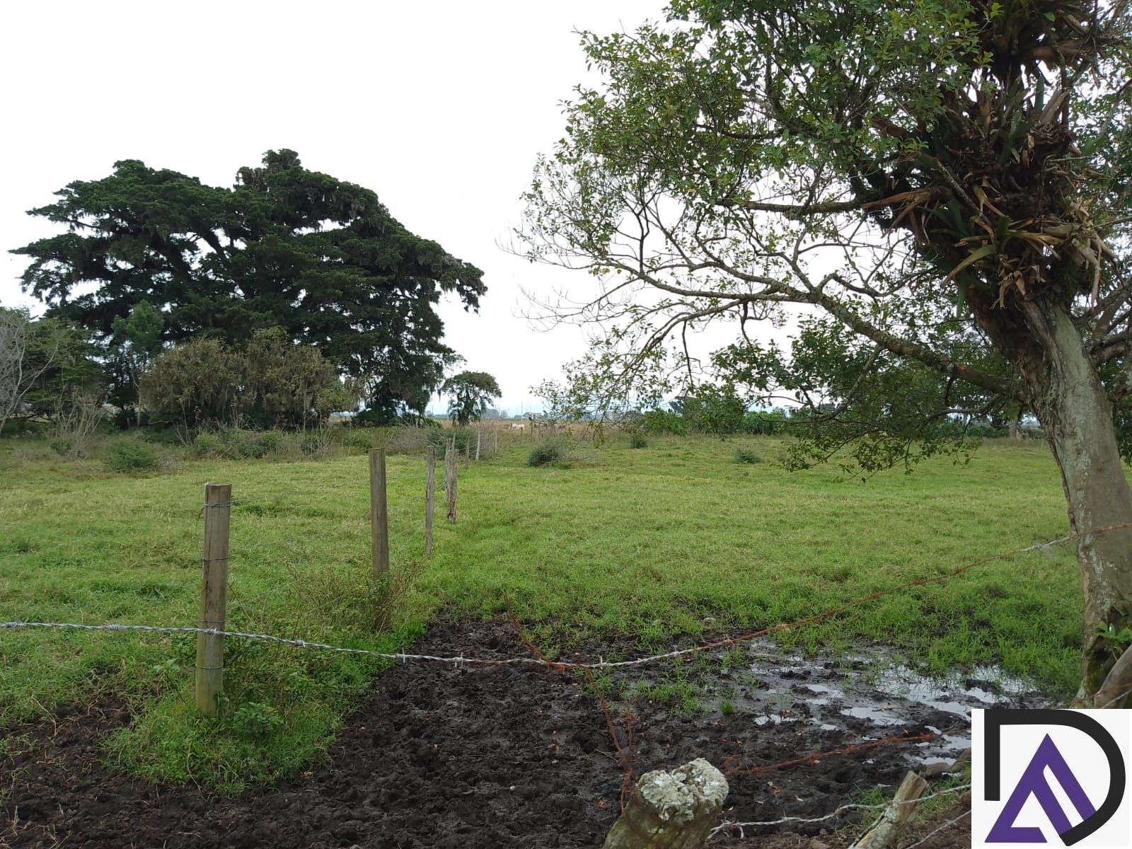 Terreno, 12 hectares - Foto 3