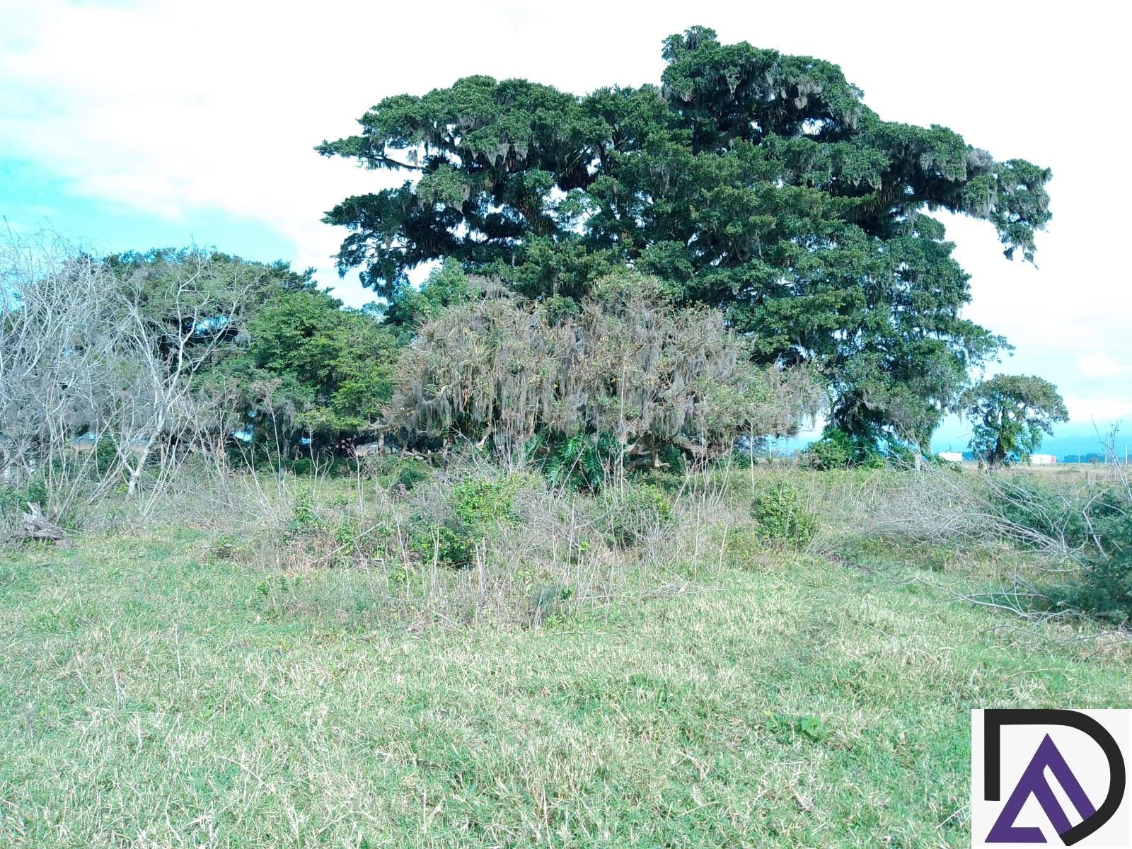 Loteamento e Condomínio à venda, 1200000000m² - Foto 4