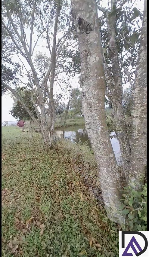 Chácara, 3 quartos, 4620 m² - Foto 27