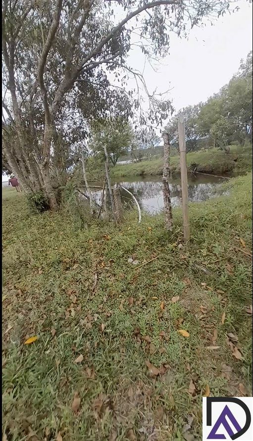 Chácara, 3 quartos, 4620 m² - Foto 26