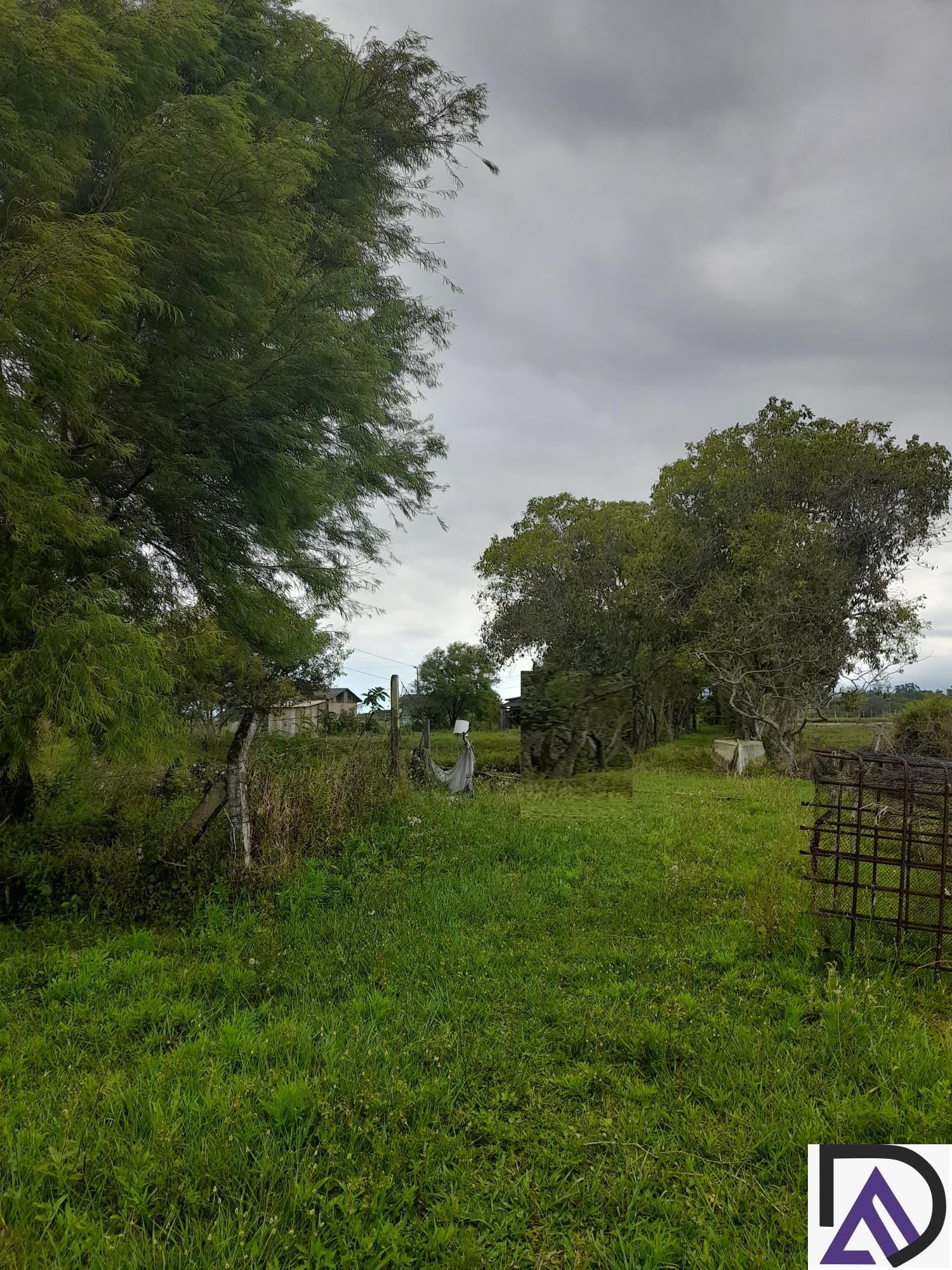 Fazenda à venda com 3 quartos, 249m² - Foto 21