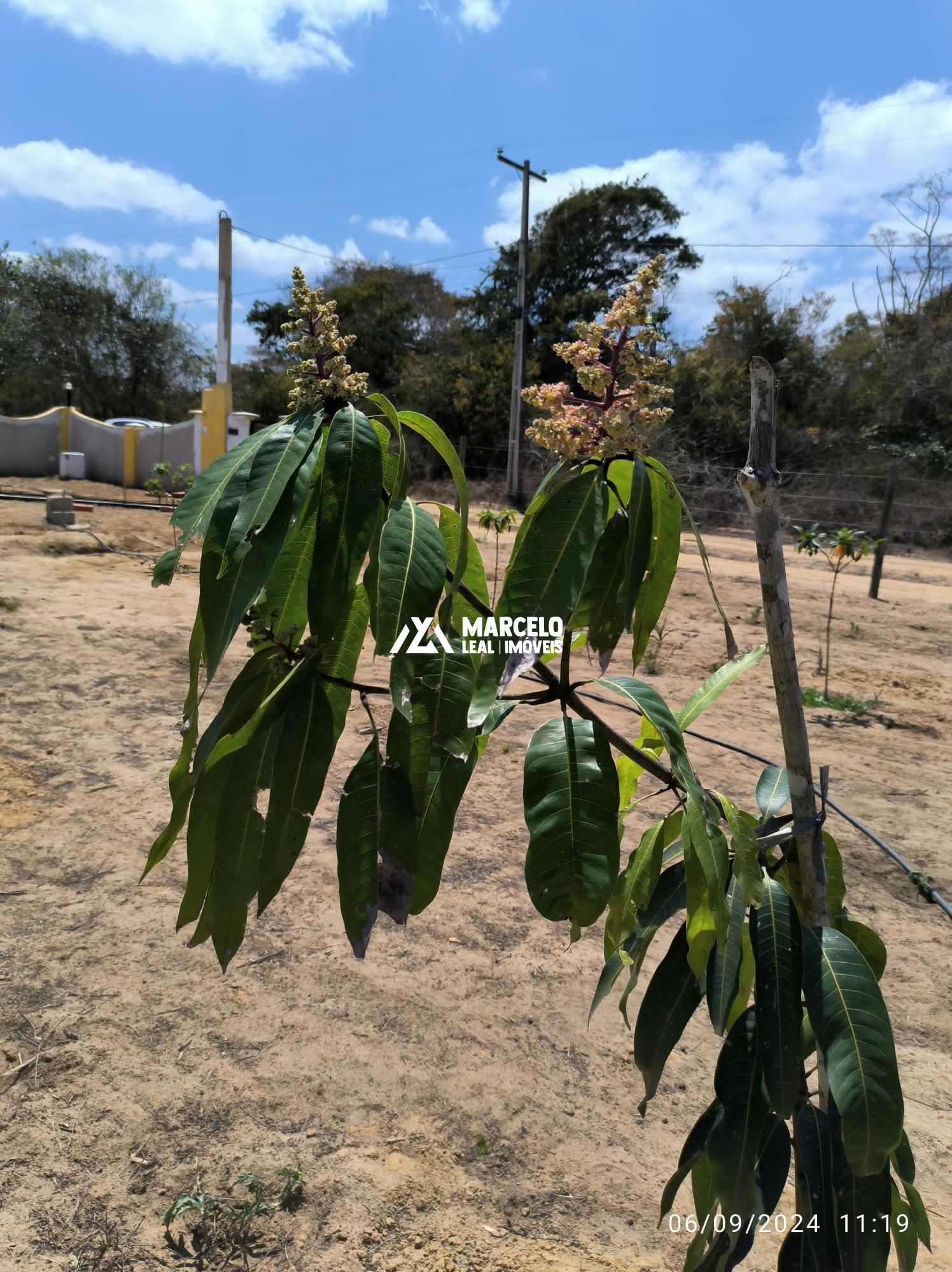 Fazenda à venda com 3 quartos, 160m² - Foto 47