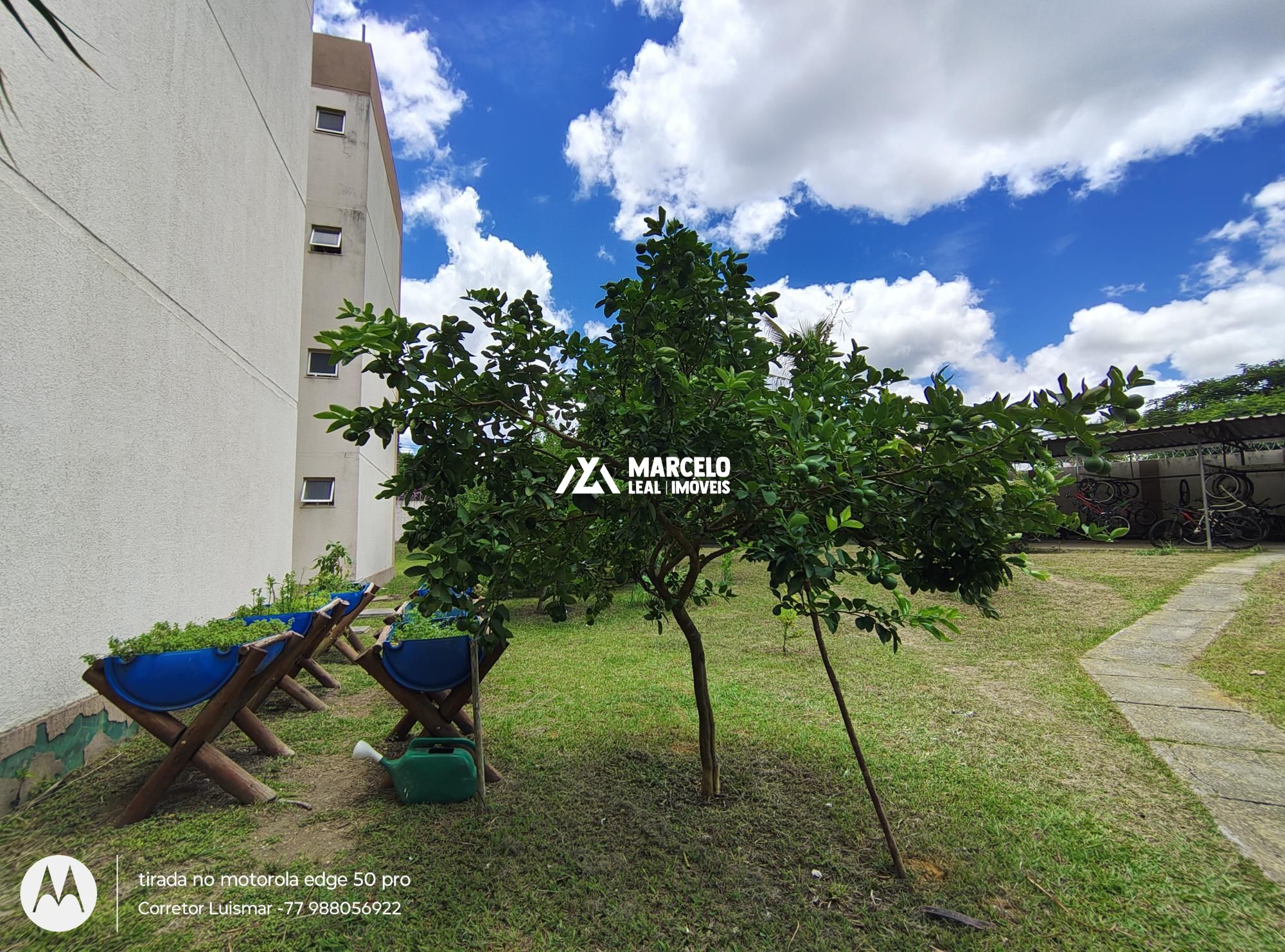 Apartamento à venda com 3 quartos, 86m² - Foto 83