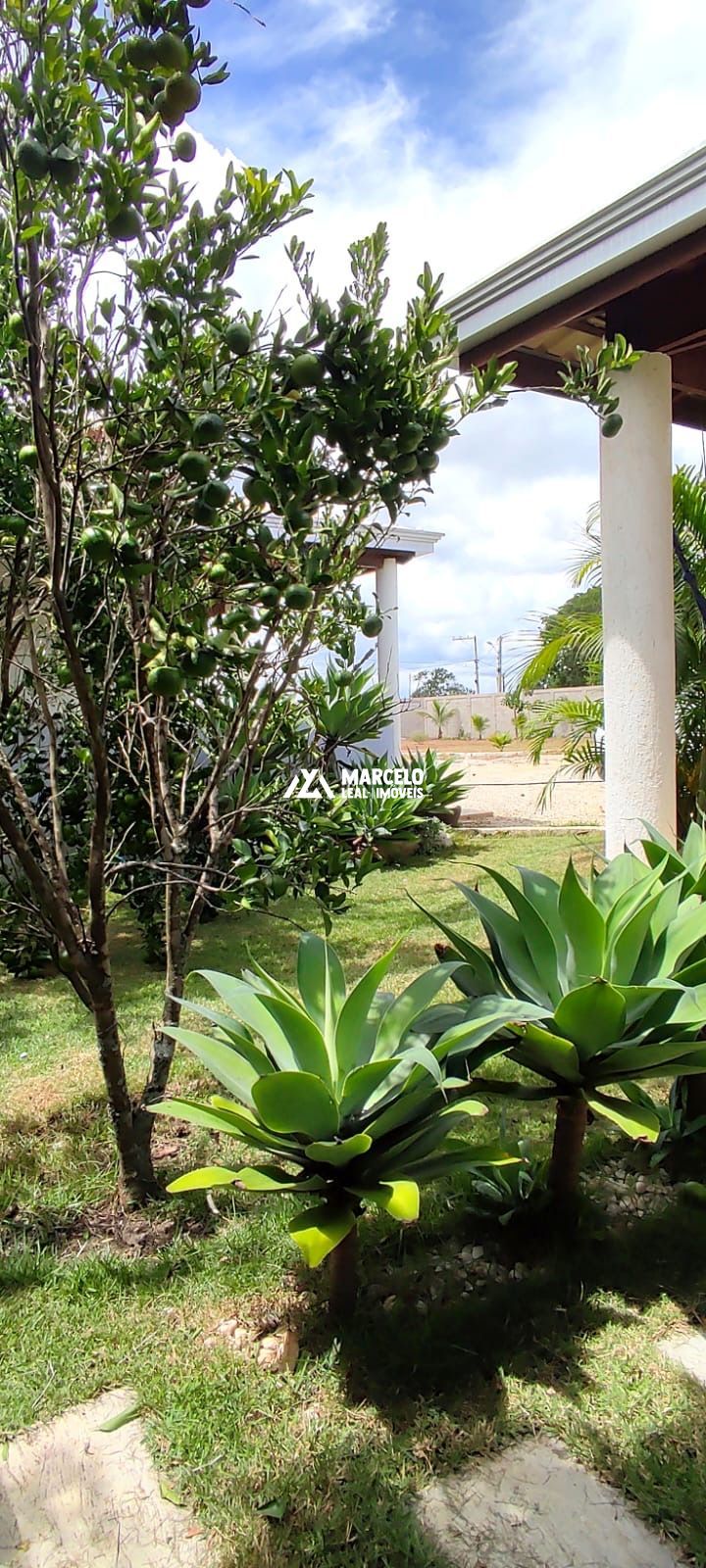 Chácara, 3 quartos, 3350 m² - Foto 7