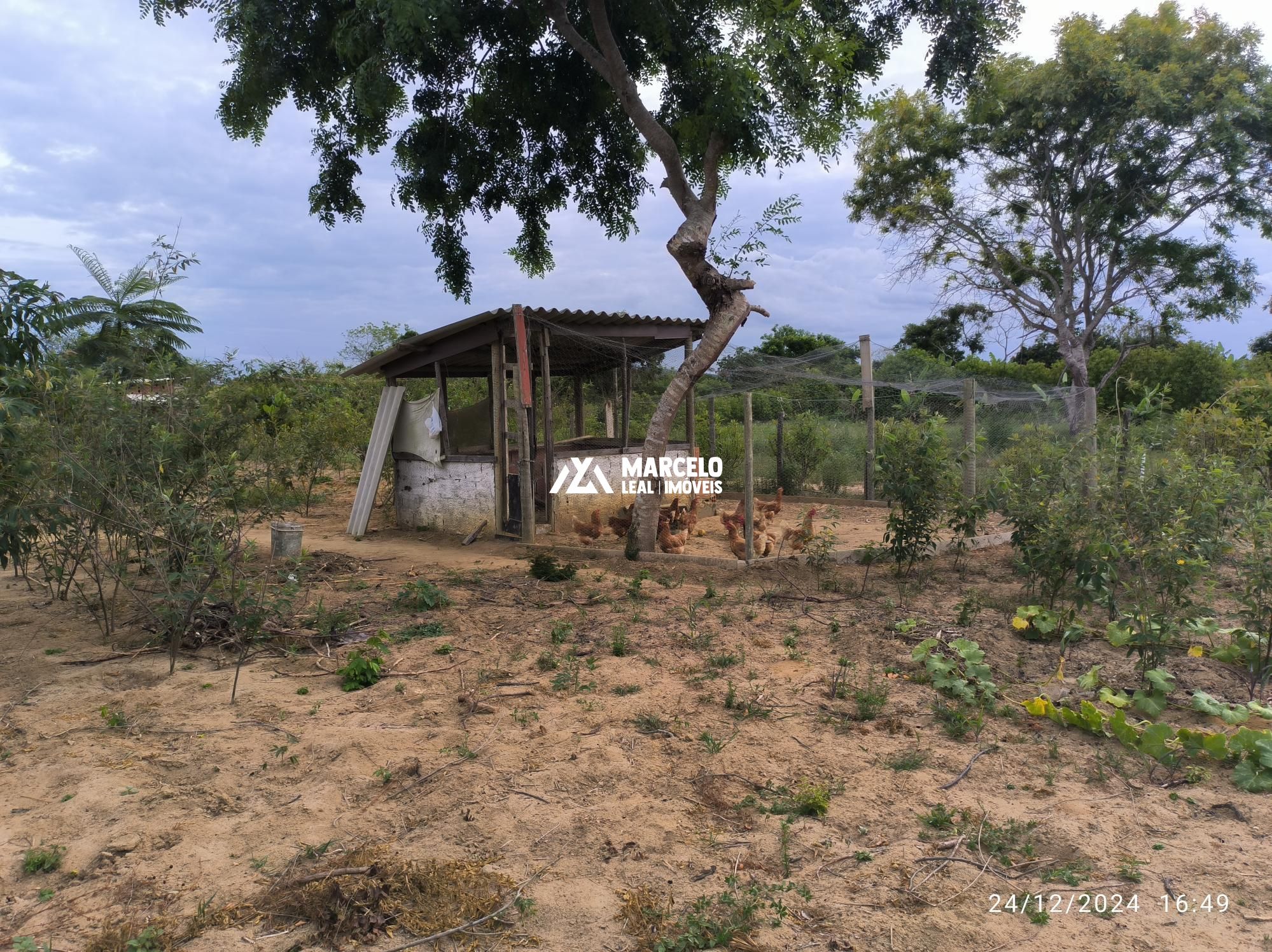 Fazenda à venda com 3 quartos, 160m² - Foto 63