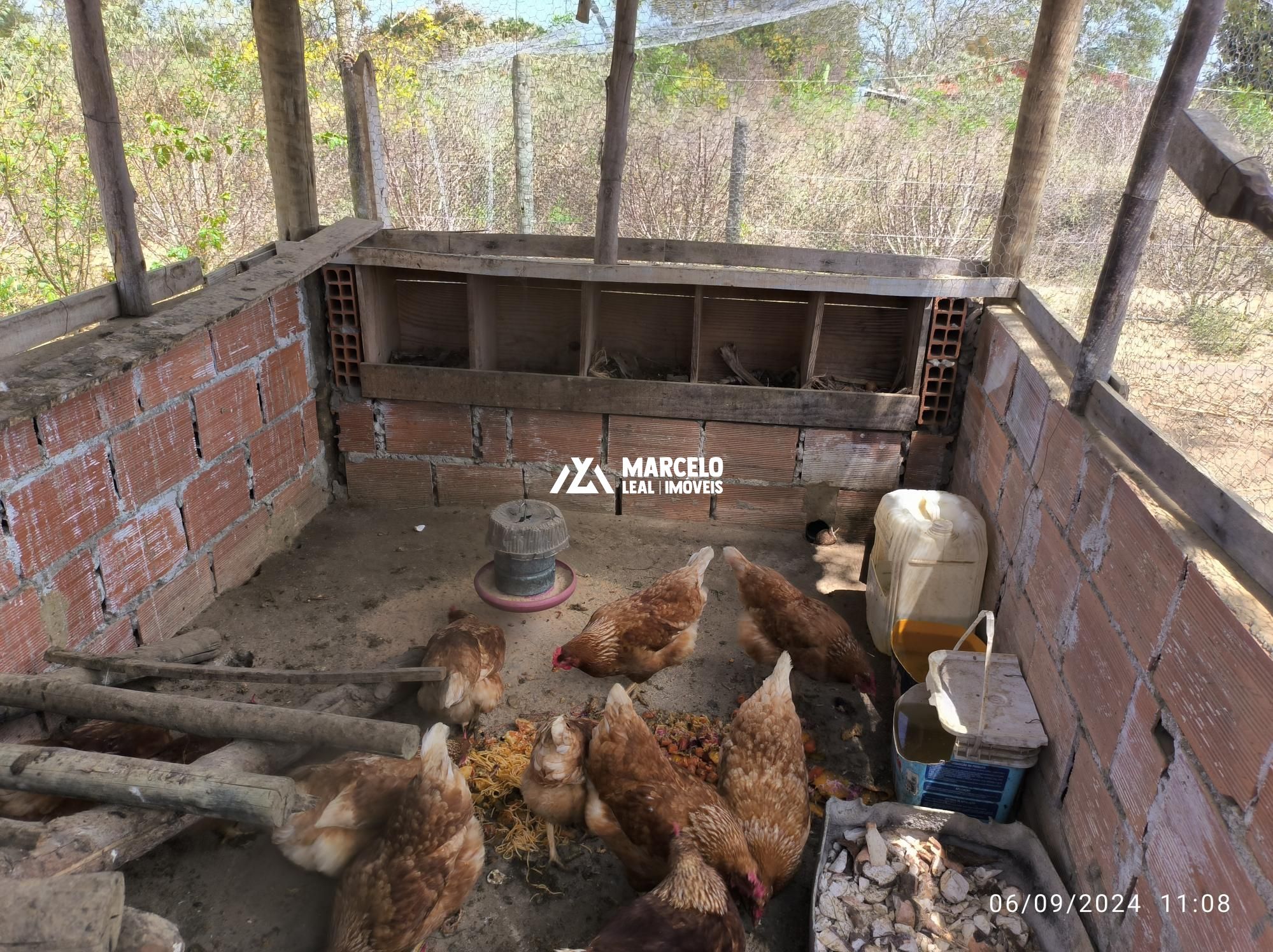 Fazenda à venda com 3 quartos, 160m² - Foto 48