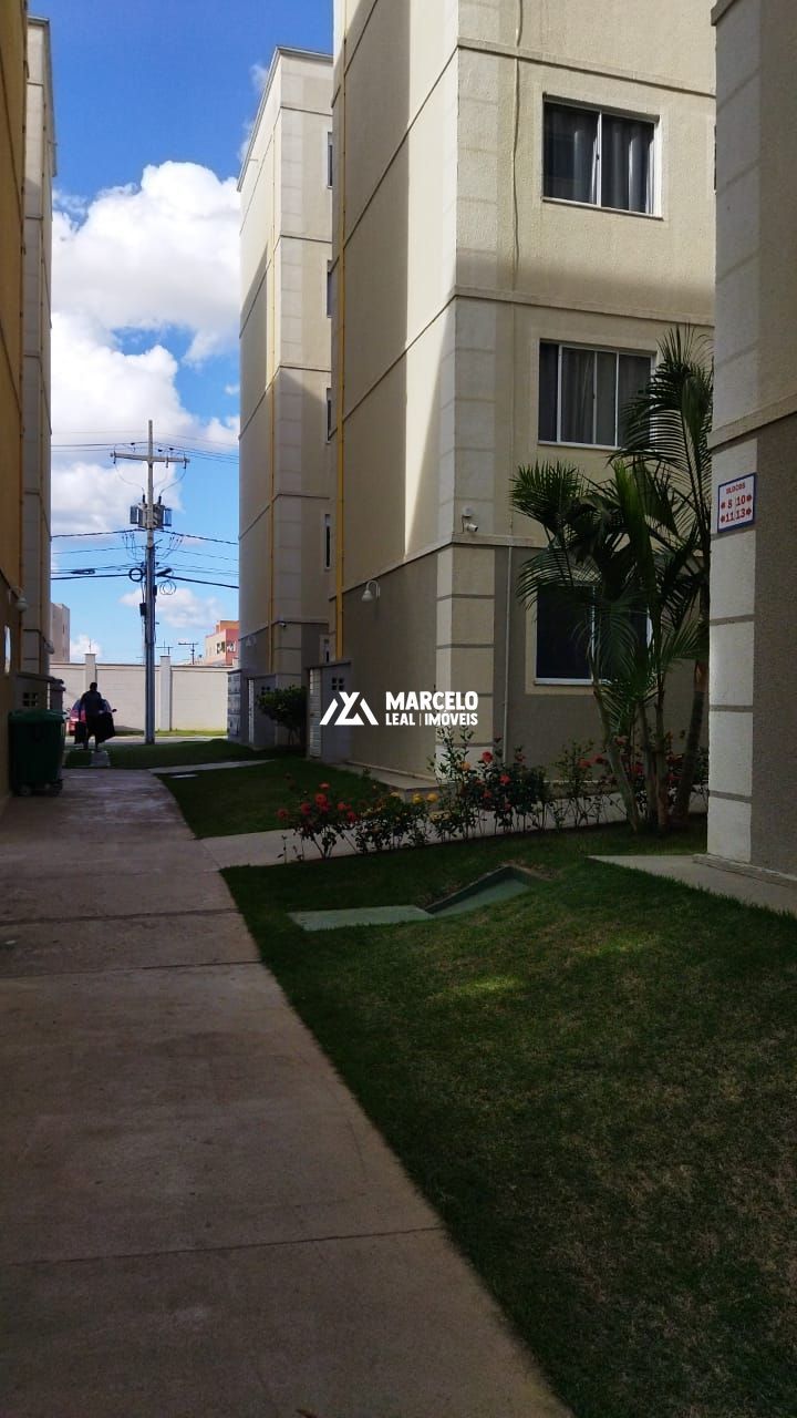 Apartamento para alugar com 2 quartos, 44m² - Foto 4