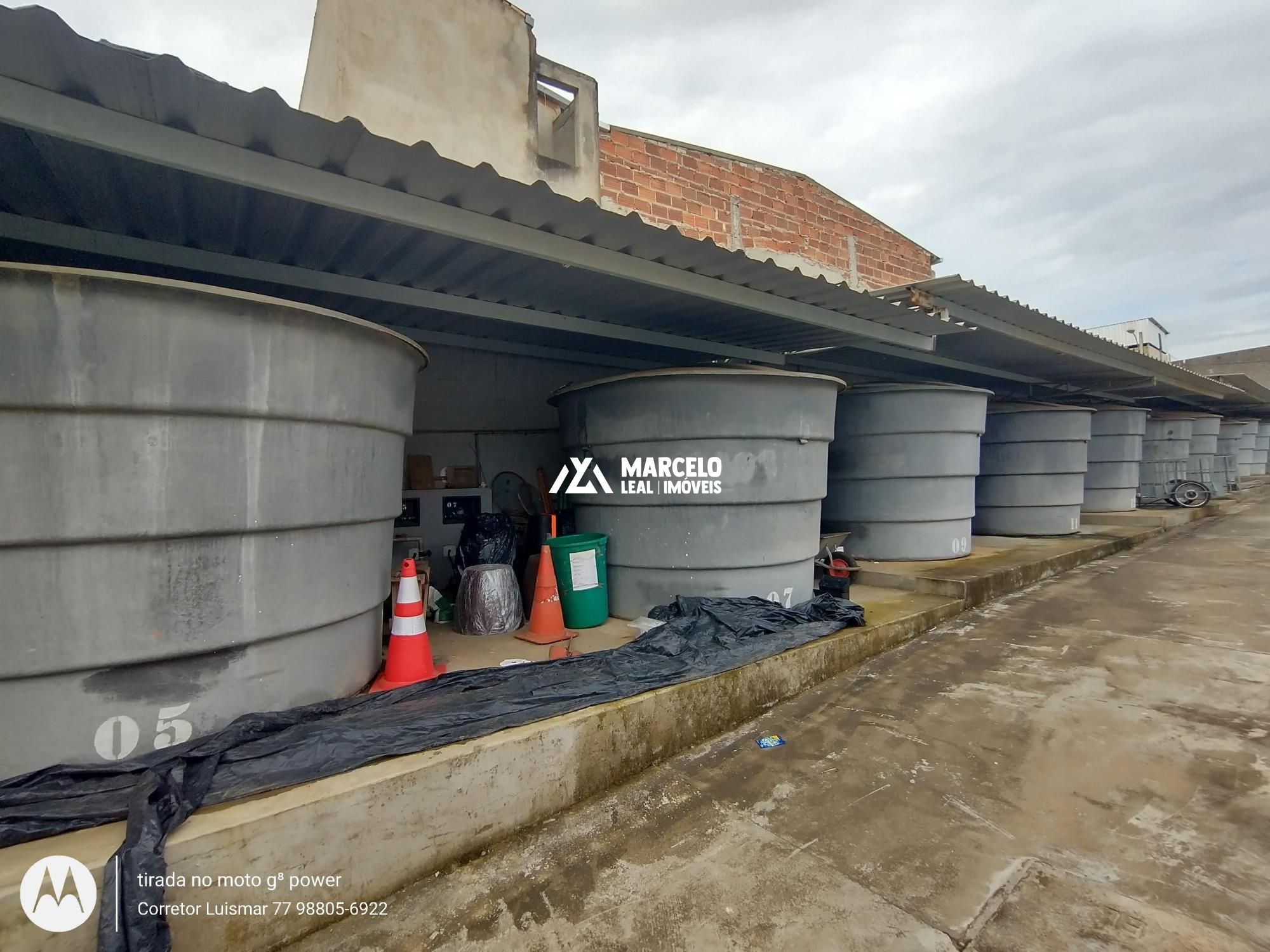 Apartamento, 3 quartos, 65 m² - Foto 52