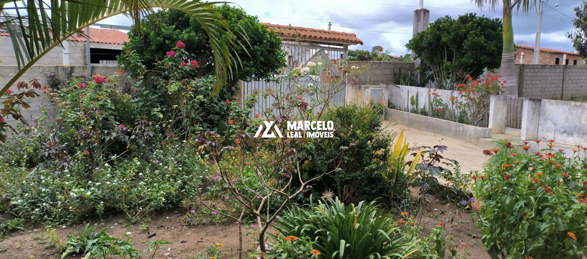 Fazenda à venda com 3 quartos, 150m² - Foto 43