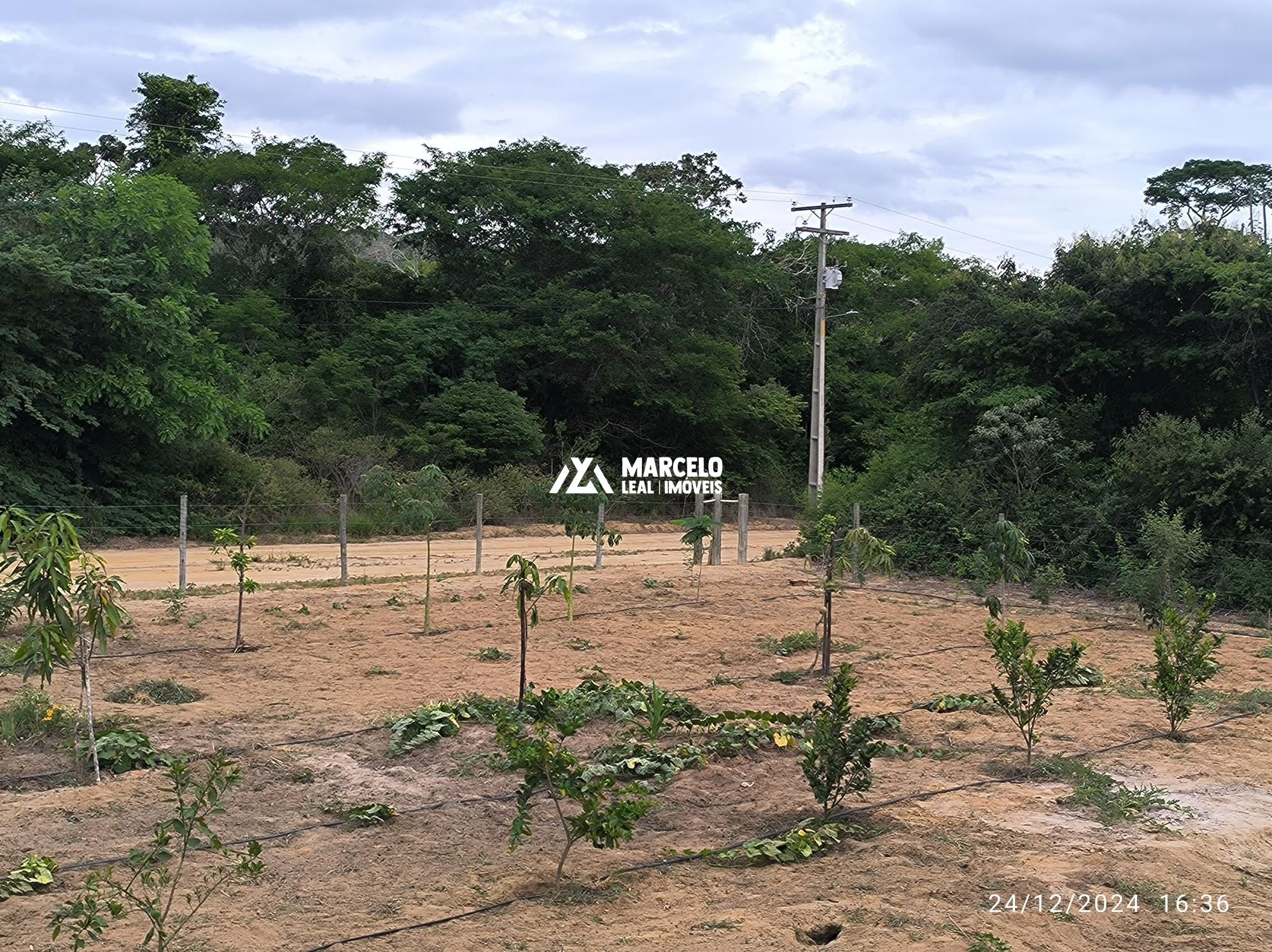 Fazenda à venda com 3 quartos, 160m² - Foto 81