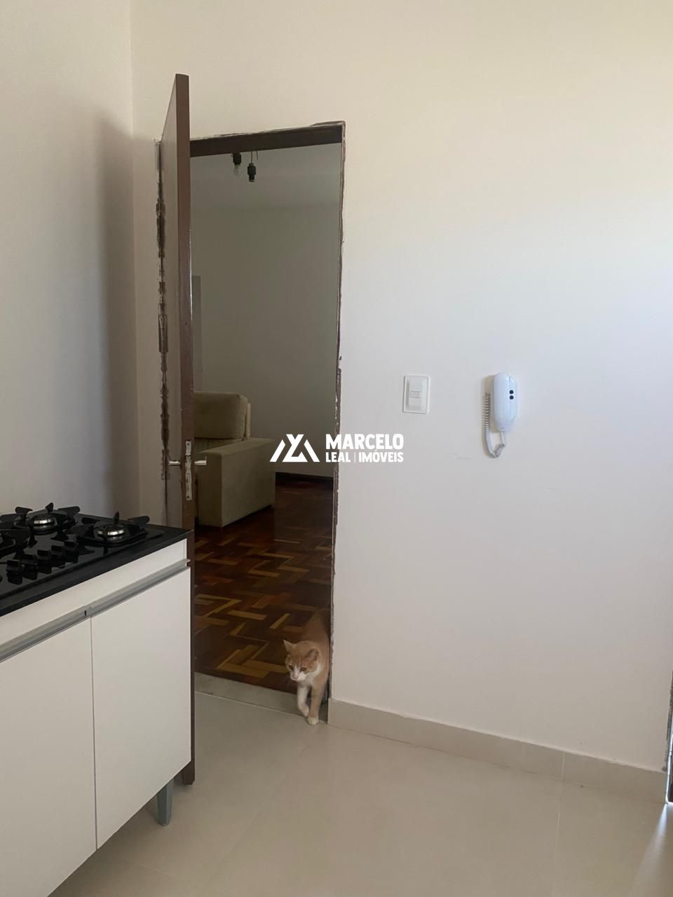 Apartamento, 3 quartos, 72 m² - Foto 3