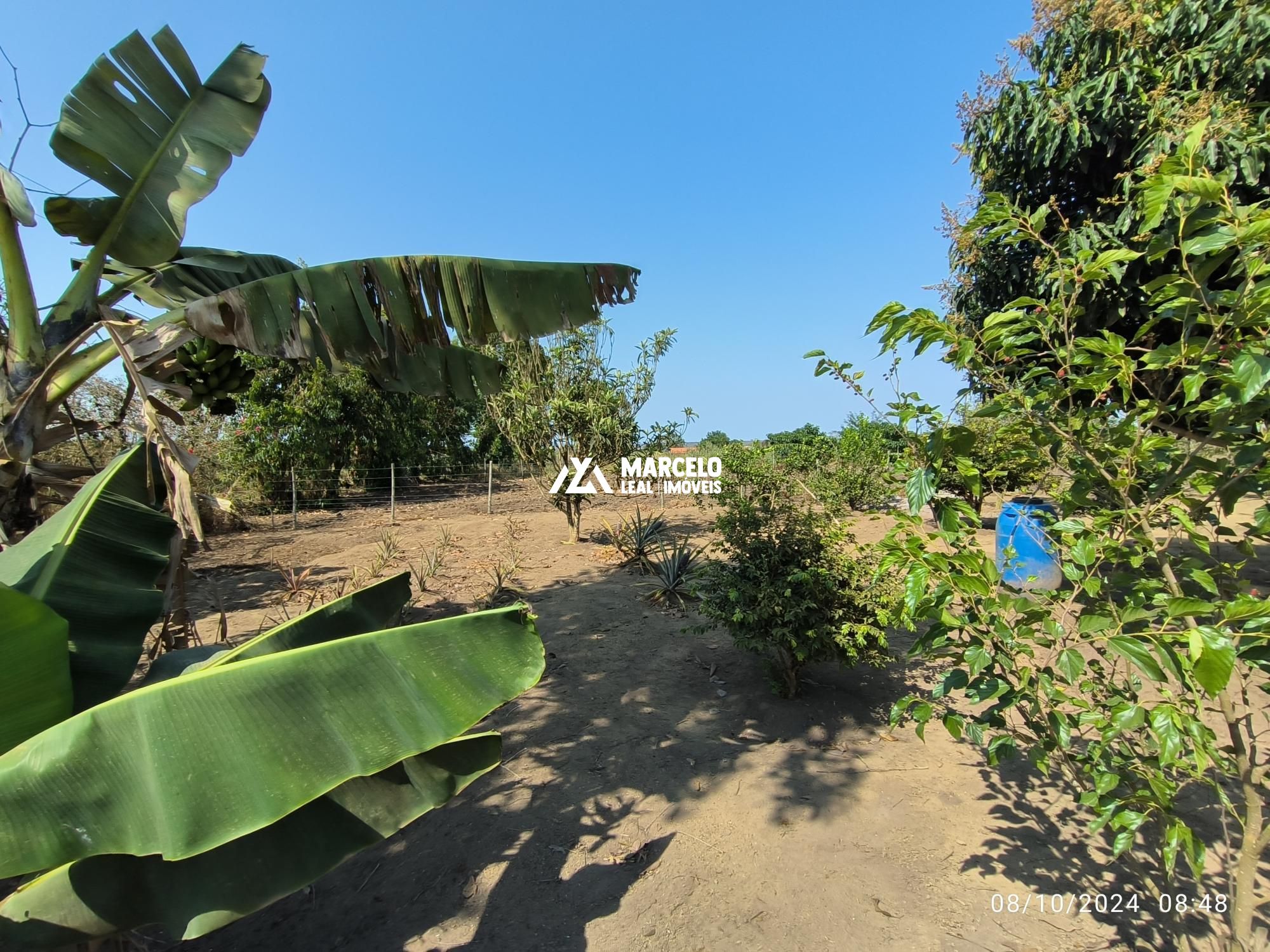 Chácara, 1 quarto, 1180 m² - Foto 5