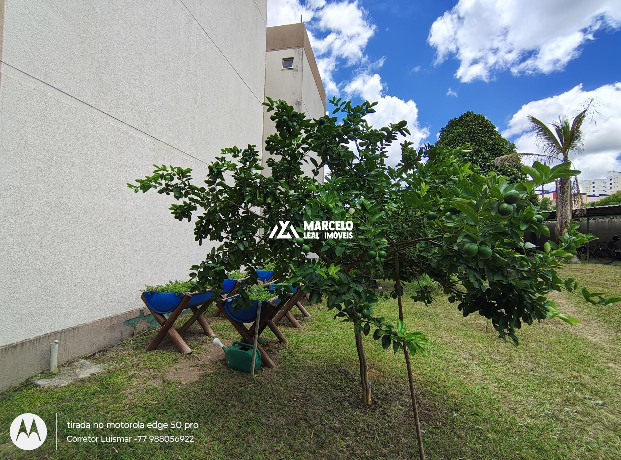 Apartamento à venda com 3 quartos, 86m² - Foto 82