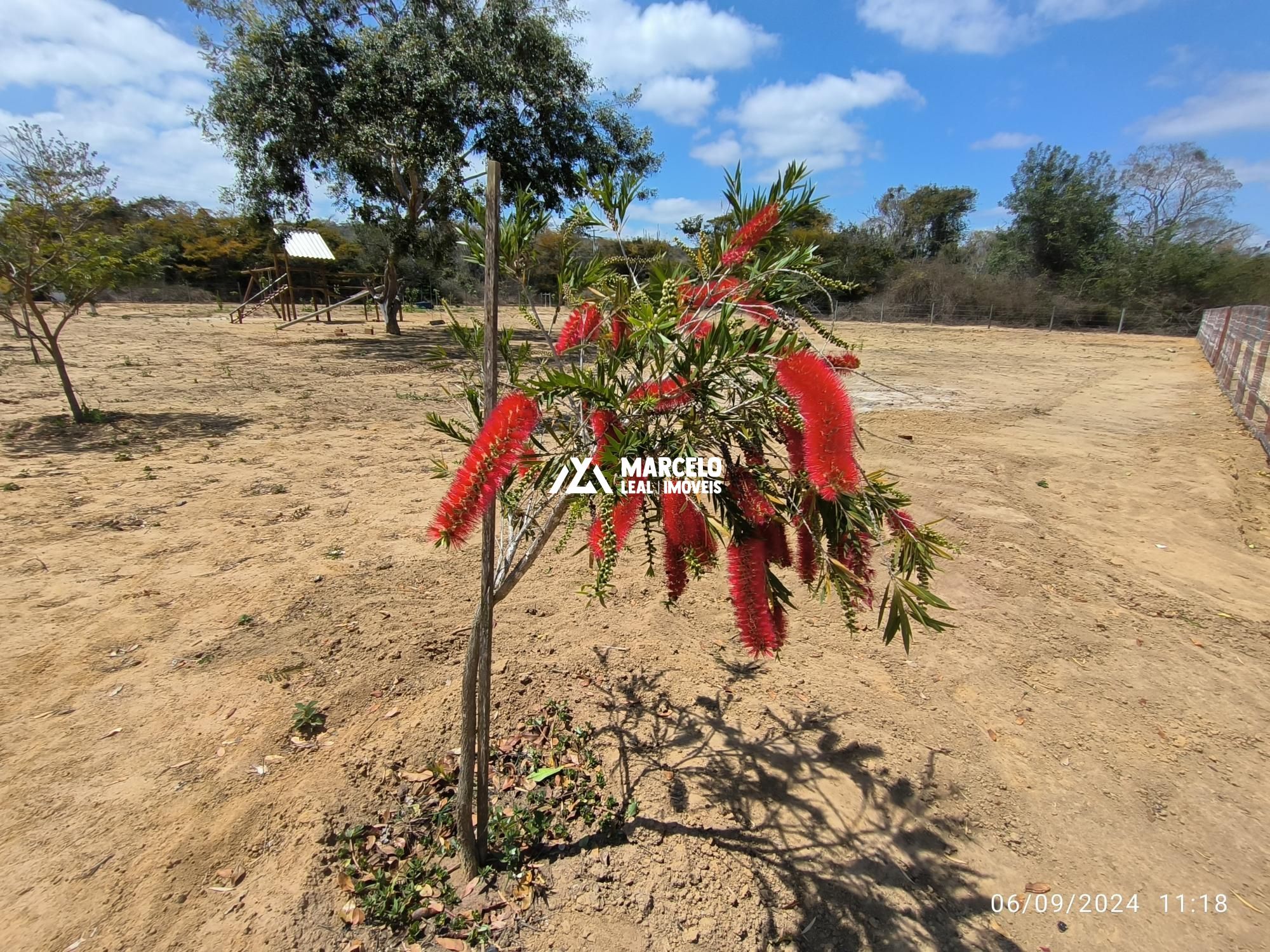 Fazenda à venda com 3 quartos, 160m² - Foto 46