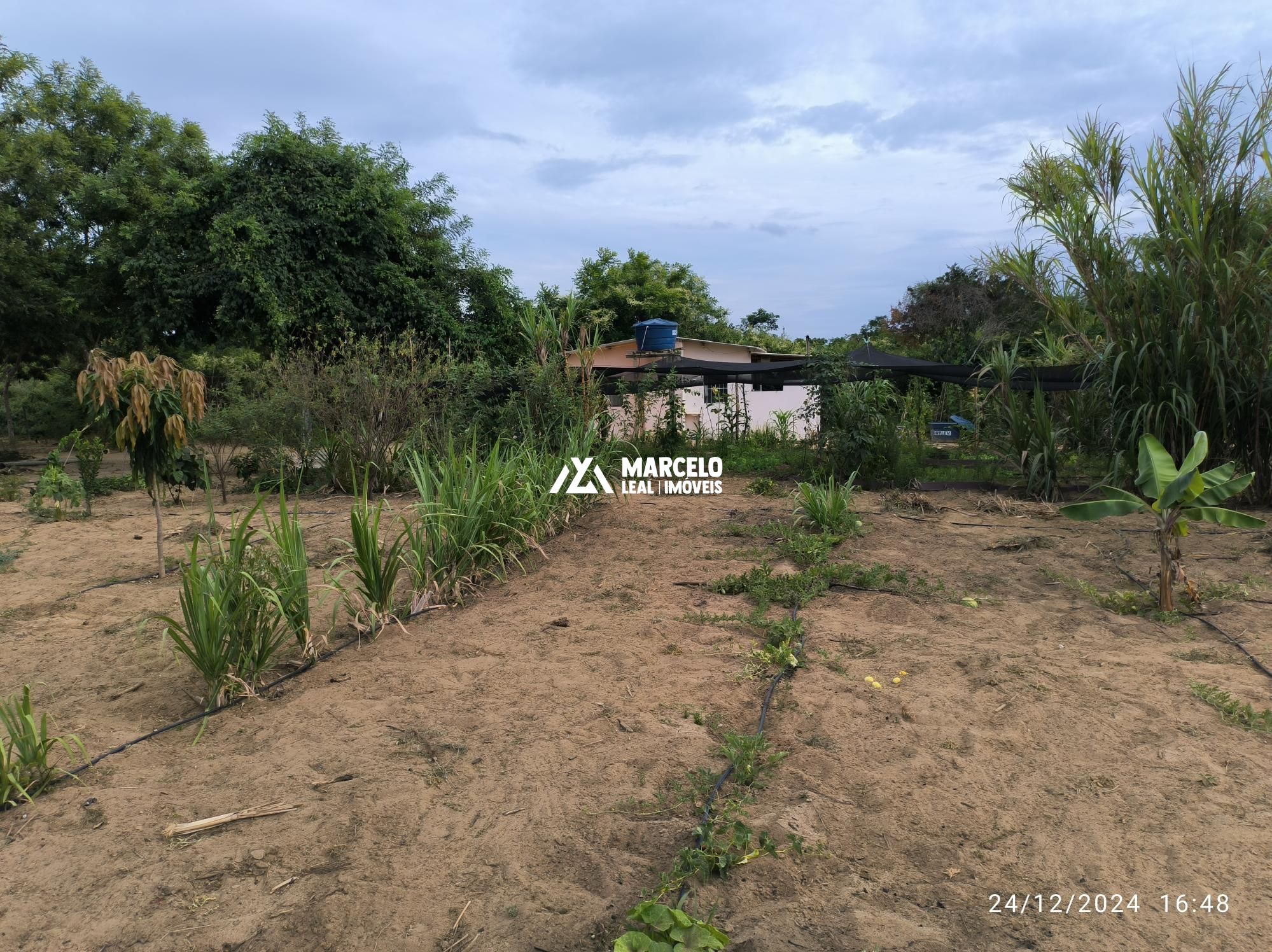 Fazenda à venda com 3 quartos, 160m² - Foto 61