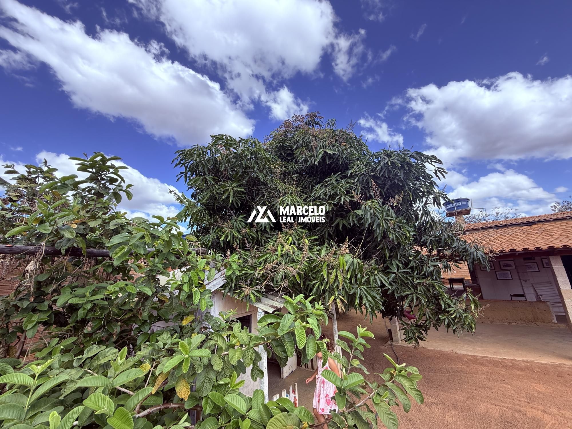 Chácara, 4 quartos, 1000 m² - Foto 16