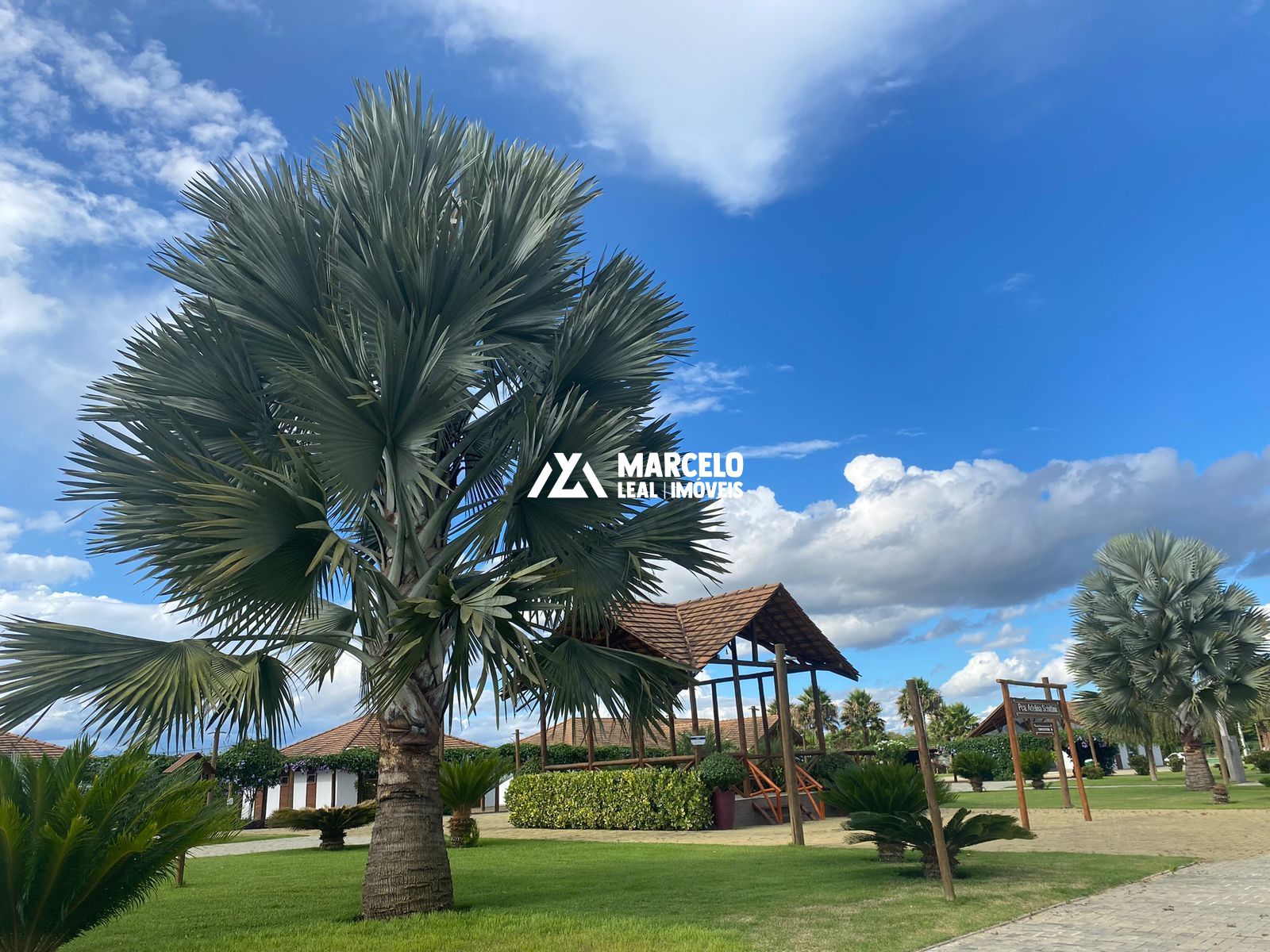 Terreno, 800 m² - Foto 13