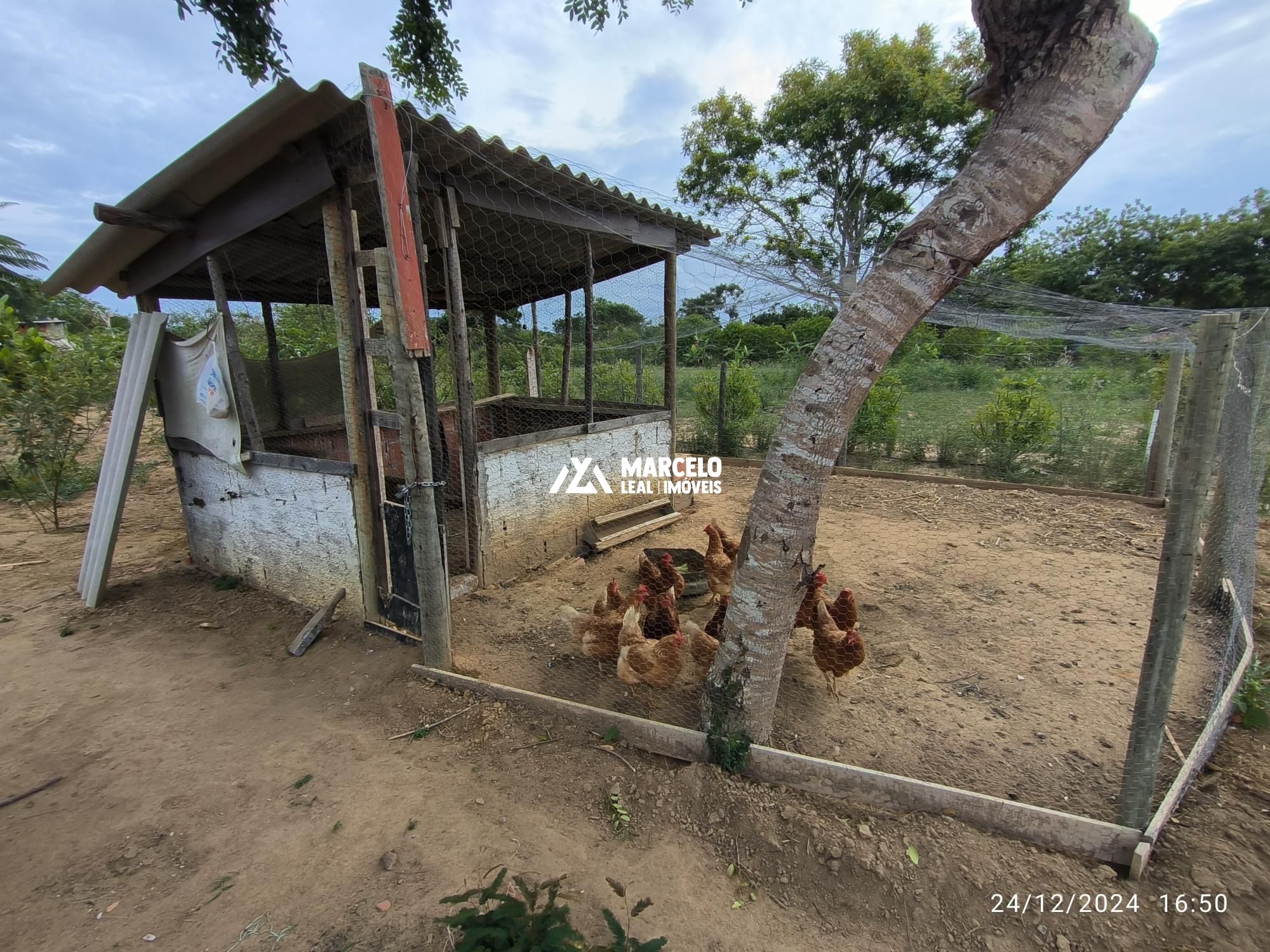 Fazenda à venda com 3 quartos, 160m² - Foto 58