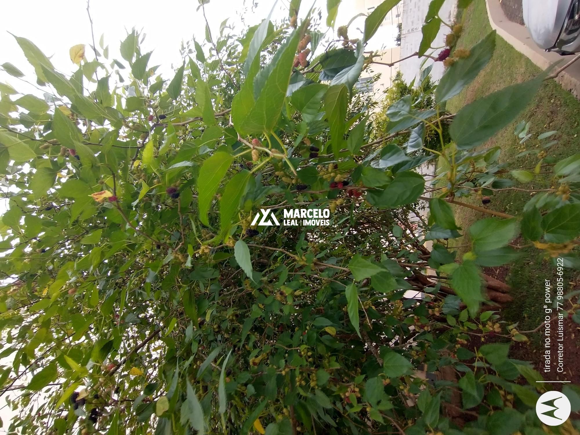 Apartamento, 3 quartos, 65 m² - Foto 53