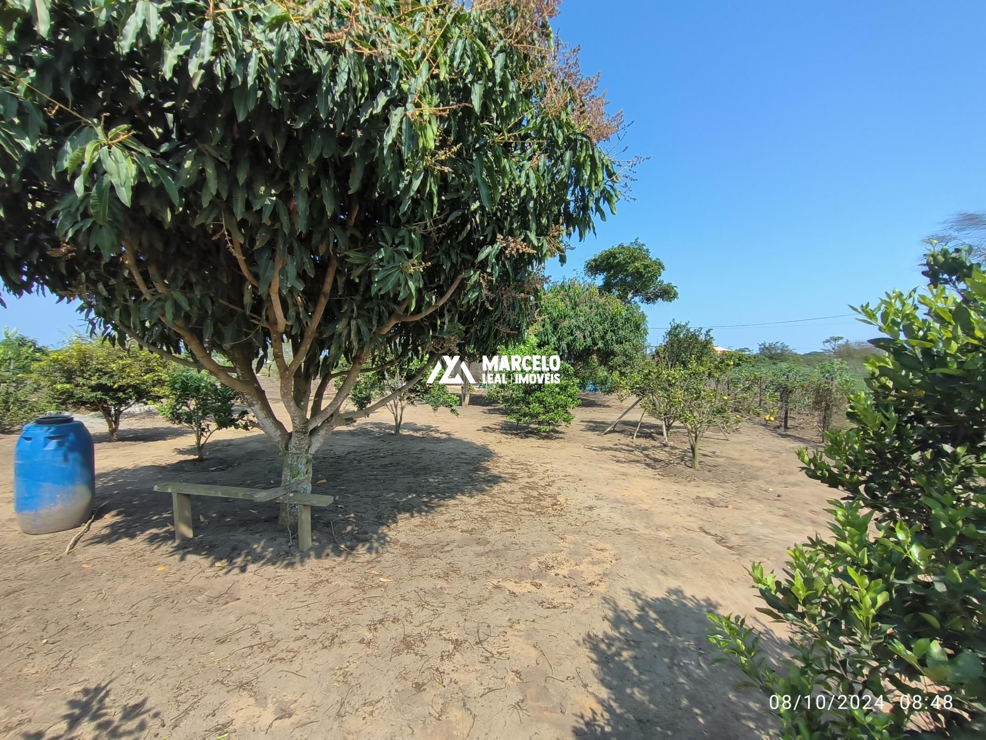 Fazenda à venda com 1 quarto, 60m² - Foto 7