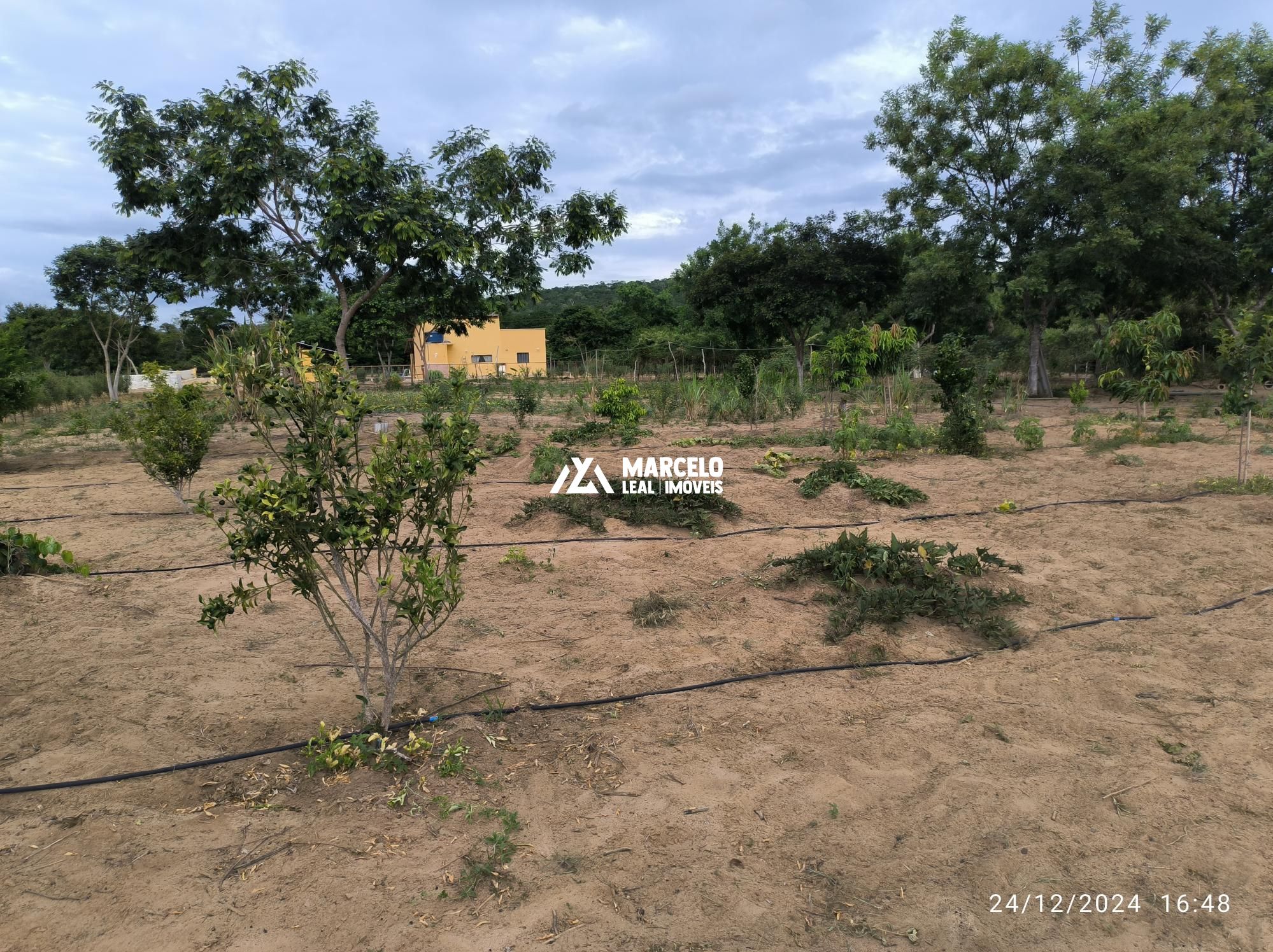 Fazenda à venda com 3 quartos, 160m² - Foto 64