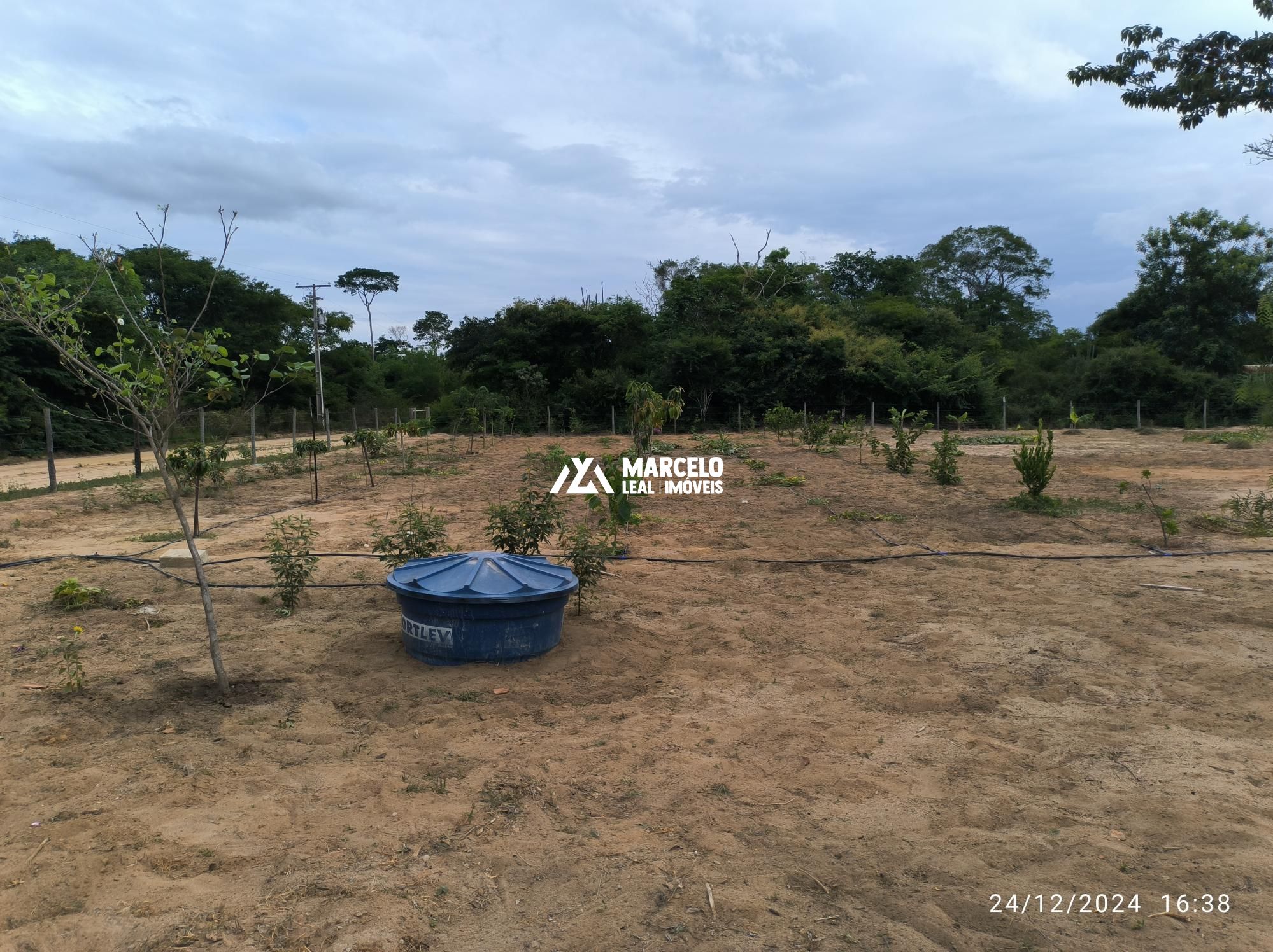 Fazenda à venda com 3 quartos, 160m² - Foto 74