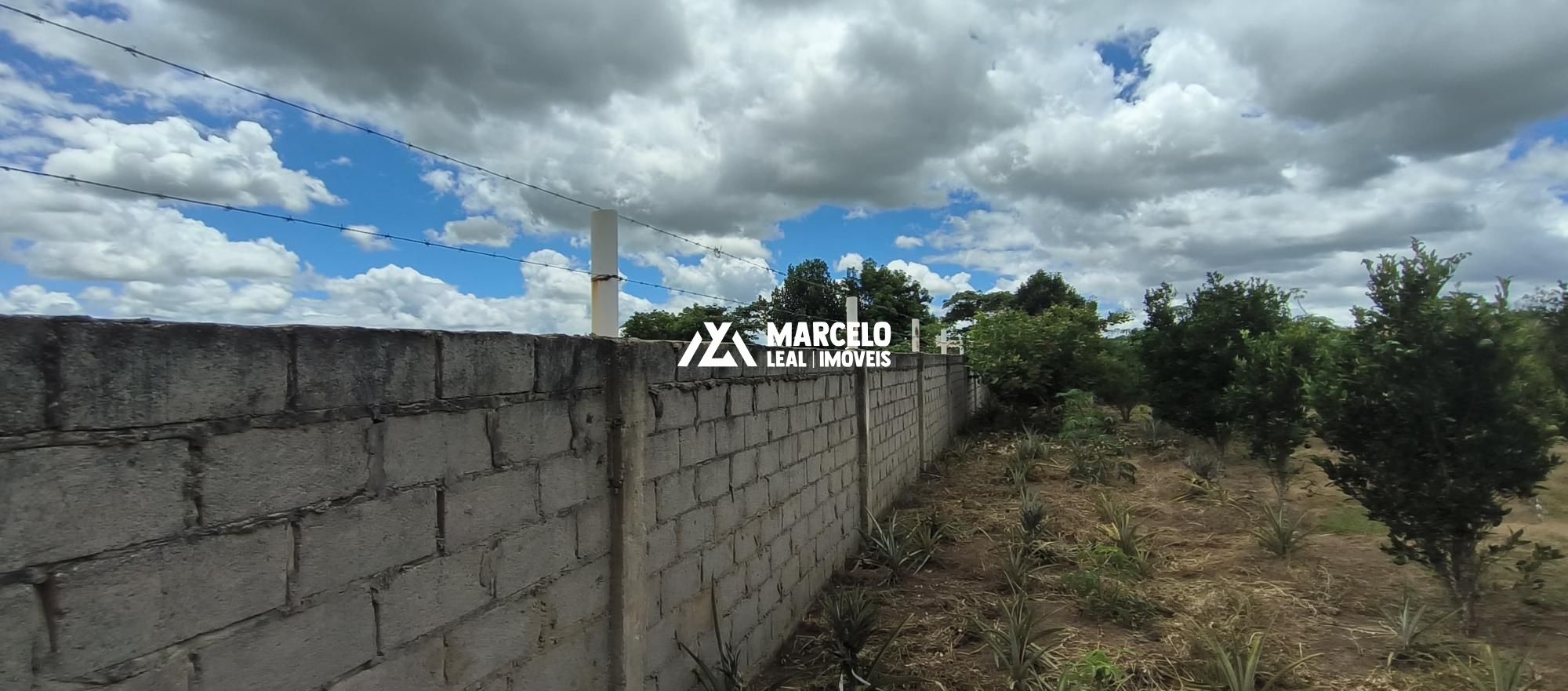 Fazenda à venda com 3 quartos, 150m² - Foto 54