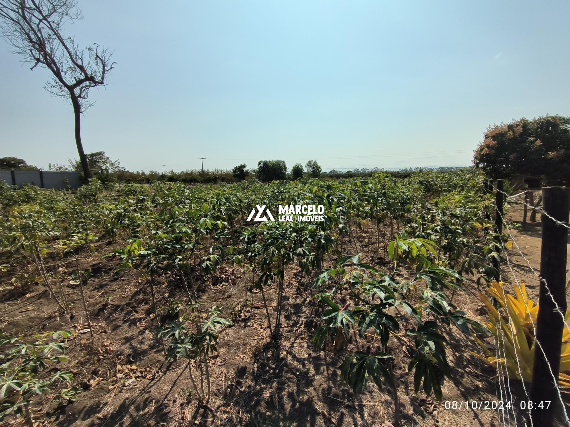 Fazenda à venda com 1 quarto, 60m² - Foto 4