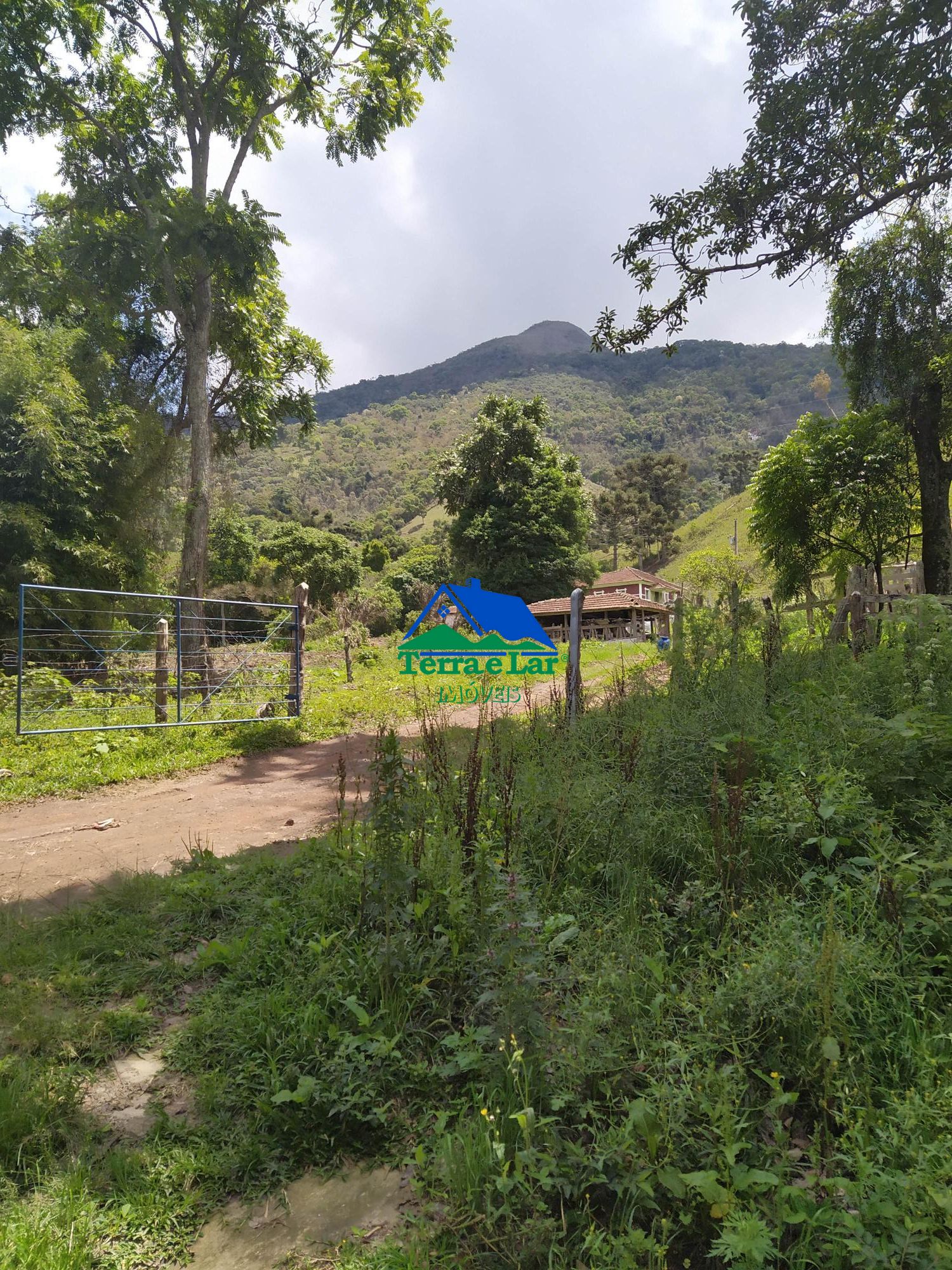 Fazenda/sítio/chácara/haras com 4 Dormitórios à venda, 260.000 m² por R$ 800.000,00 Fazenda/sítio/chácara/haras com 4 Dormitórios à venda, 260.000 m² por R$ 800.000,00