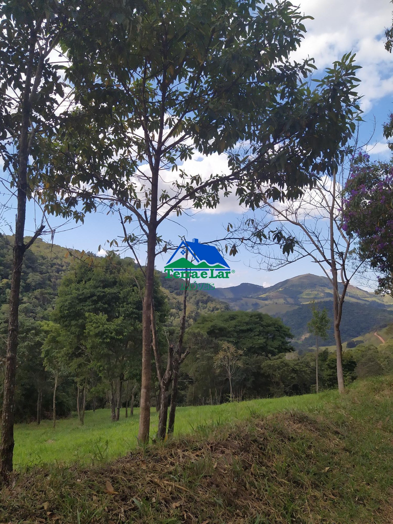 img145868160