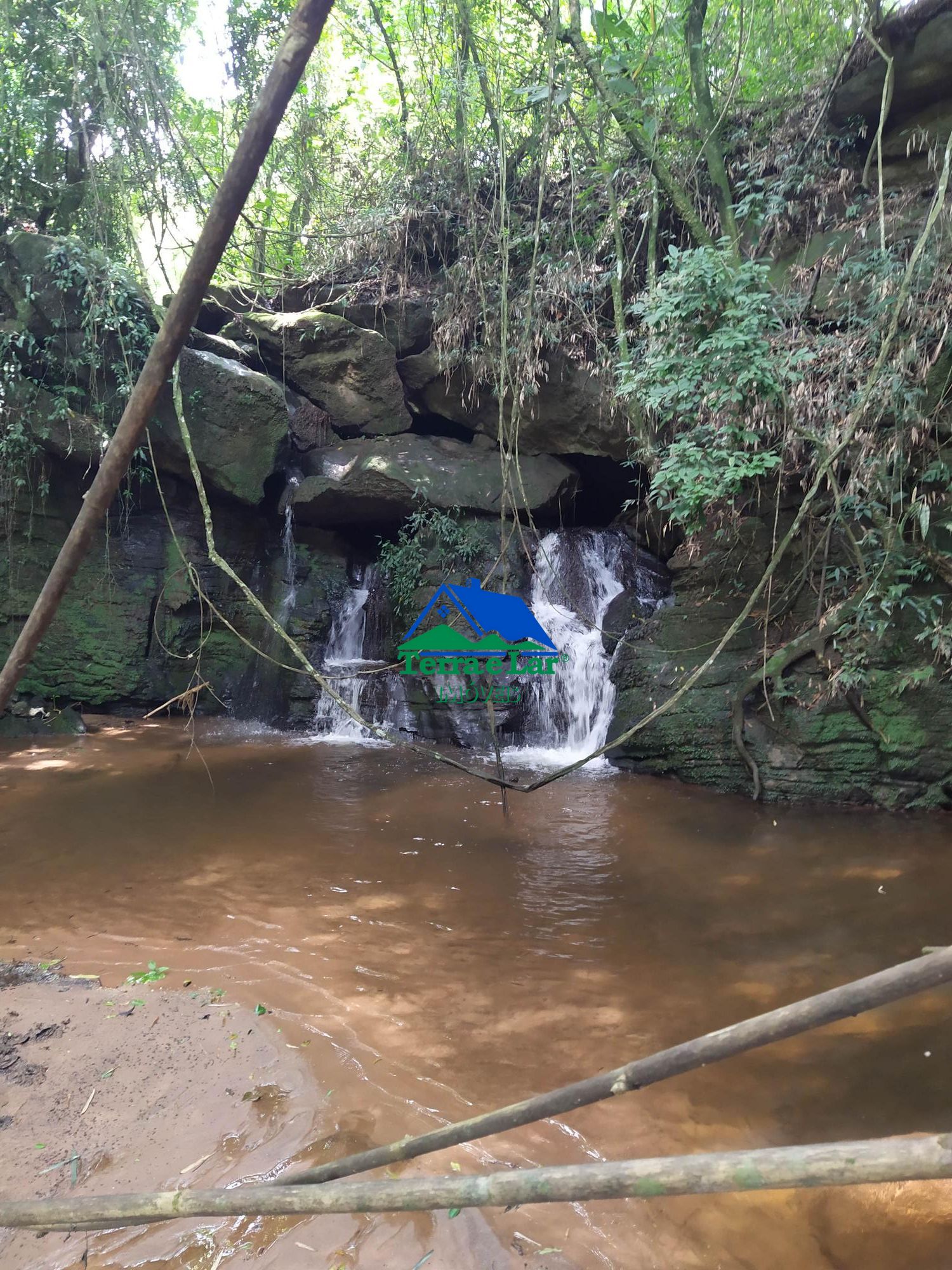 Fazenda à venda com 4 quartos, 10m² - Foto 2