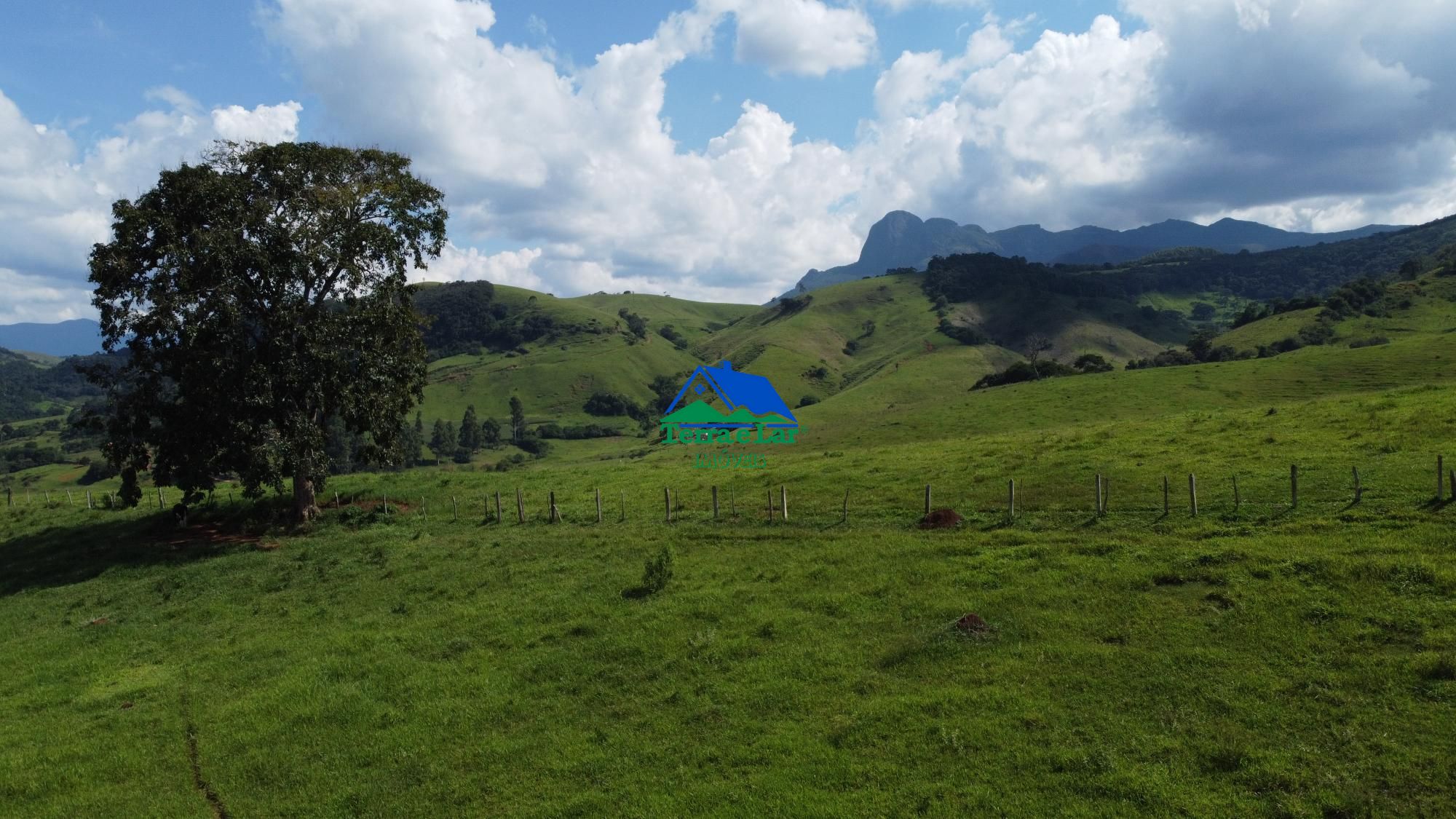 img145871618