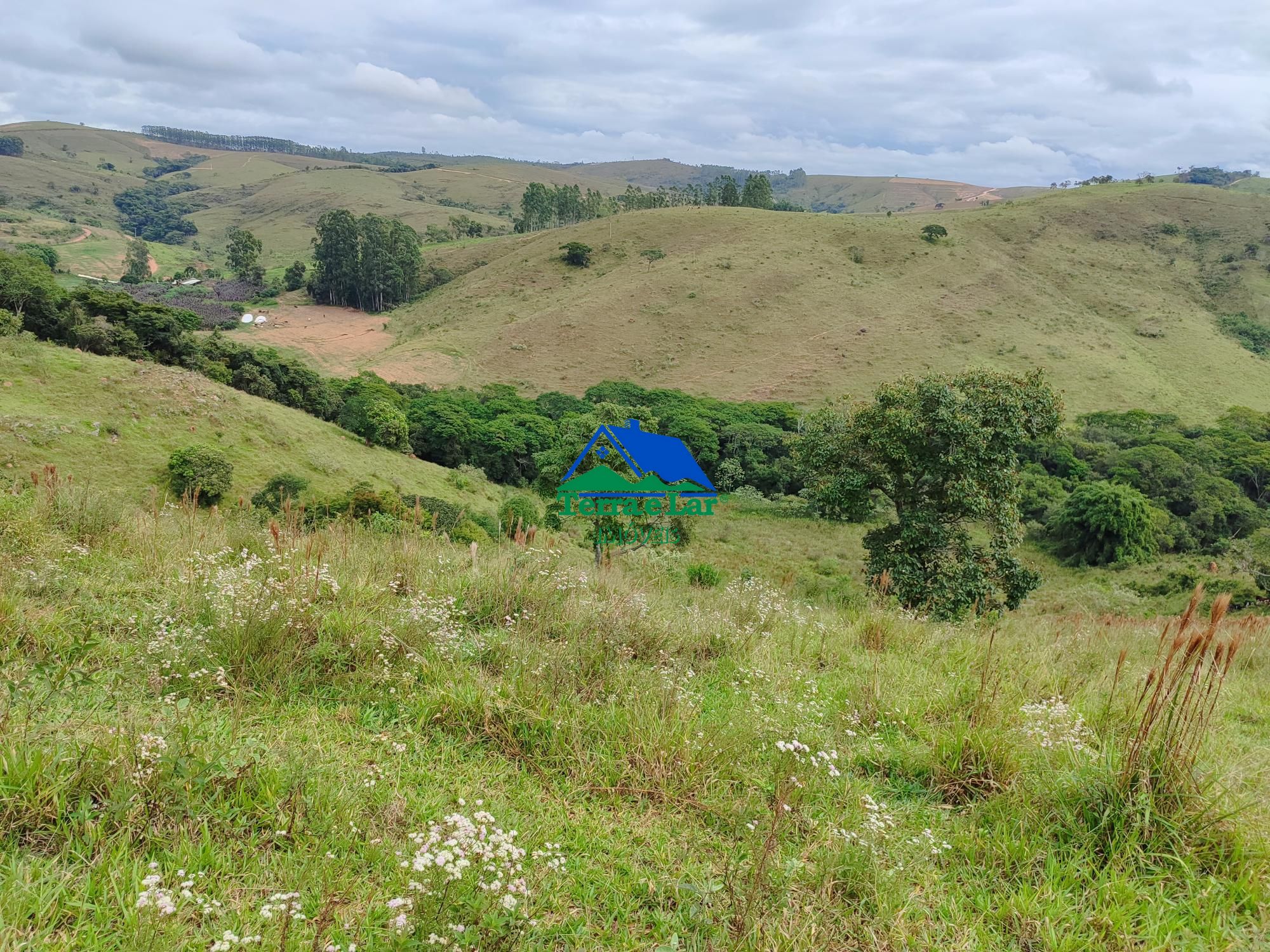 img192473964