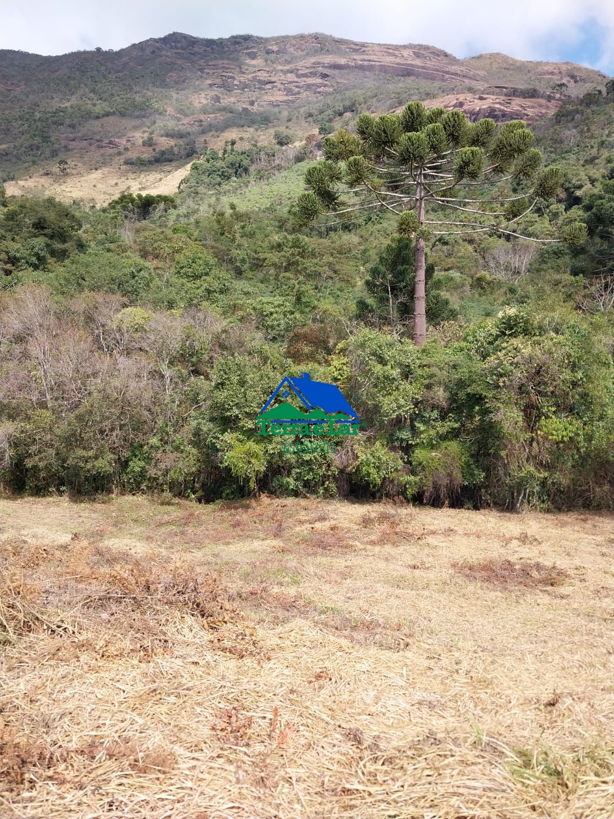 Lote/Terreno Comercial de 61400m² no bairro Zona Rural, em Aiuruoca | Eu Corretor