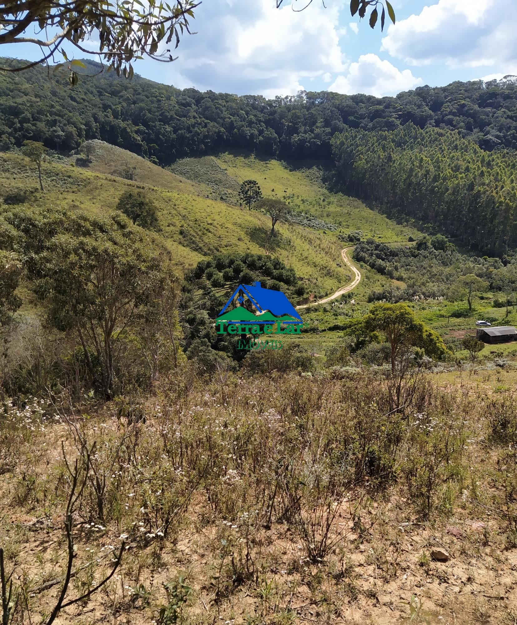 Terreno à venda, 13000m² - Foto 2