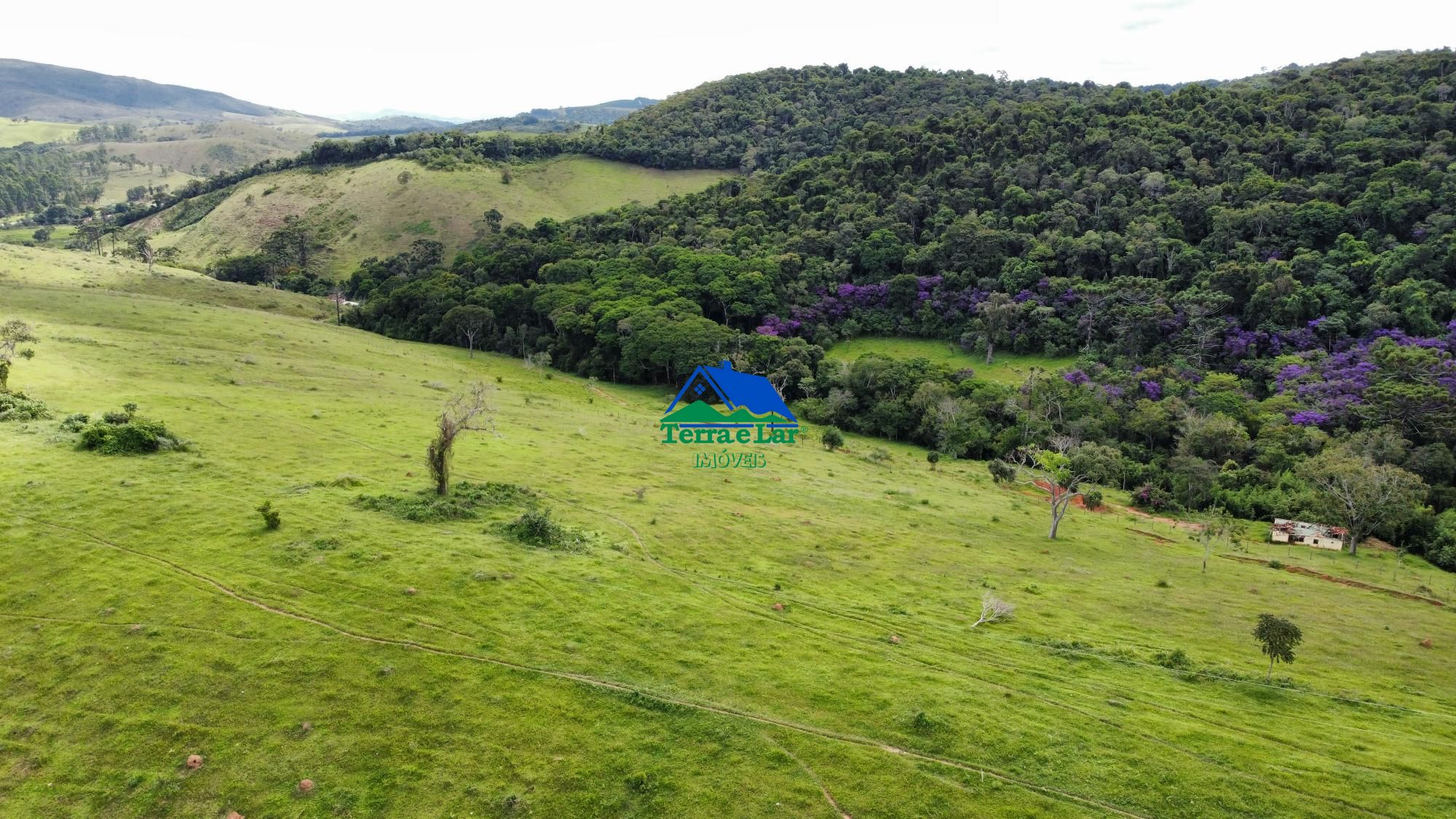 img127687067