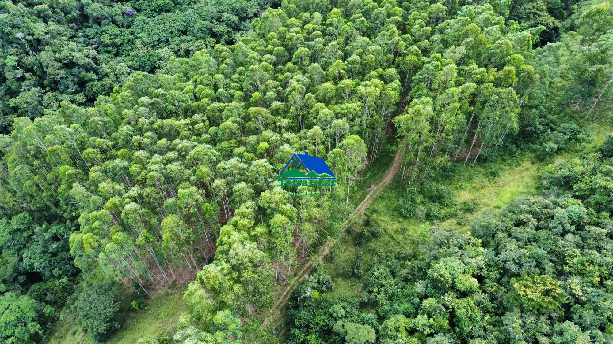 Fazenda/sítio/chácara/haras à venda, 30.000 m² por R$ 270.000,00 Fazenda/sítio/chácara/haras à venda, 30.000 m² por R$ 270.000,00