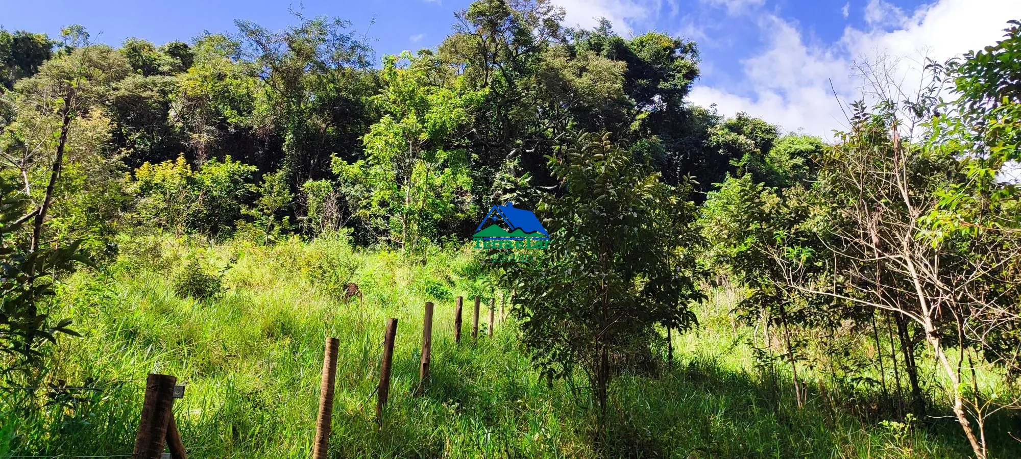 Chácara, 3 hectares - Foto 12