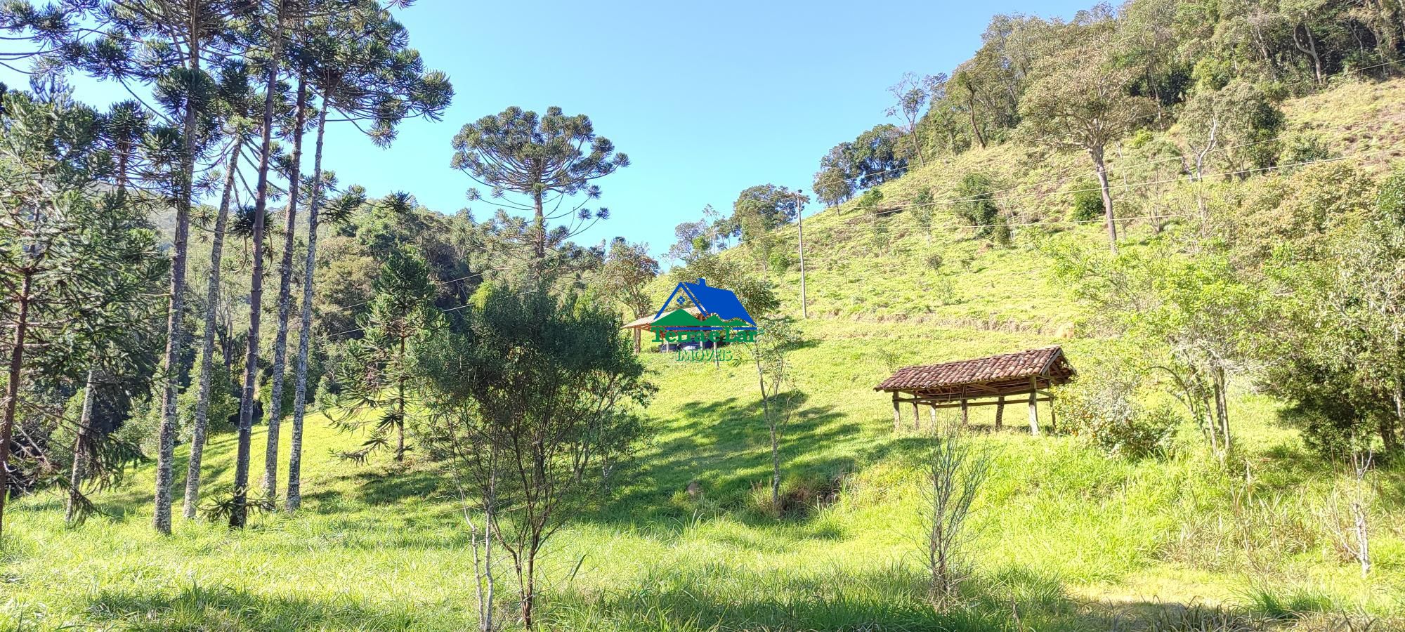 Sítio, 3 quartos, 18 hectares - Foto 11
