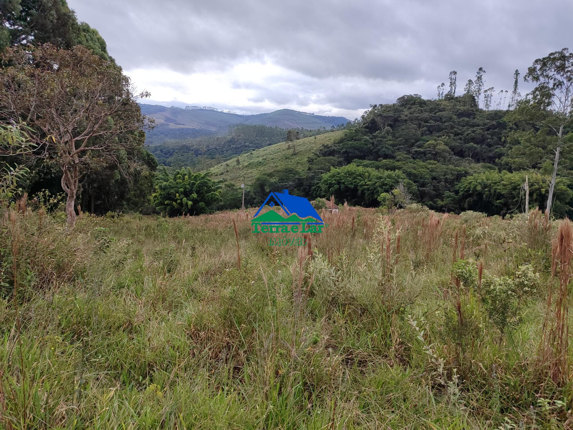 img192473954